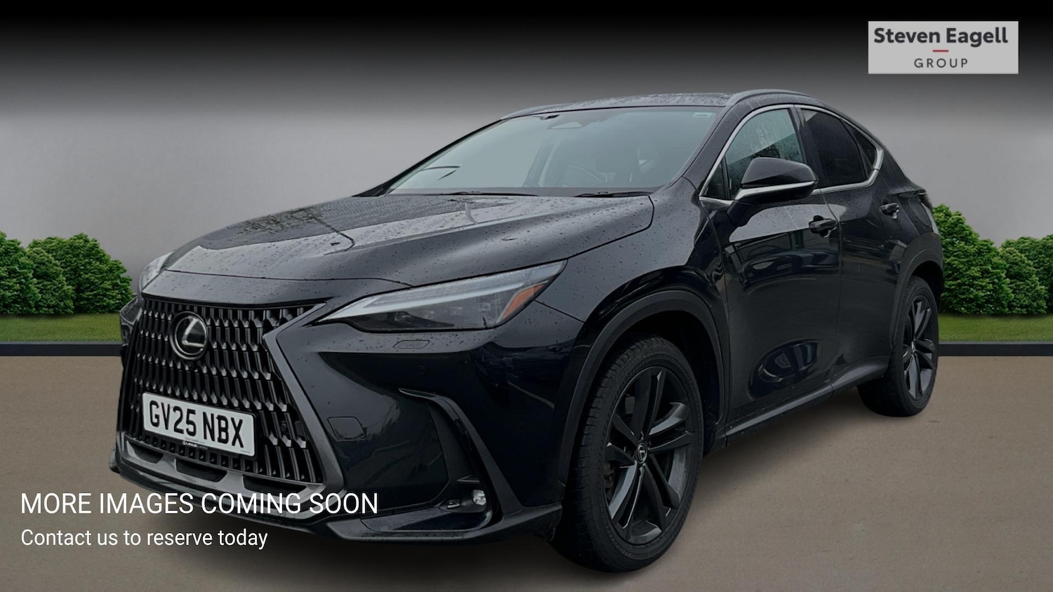 Used Lexus NX 2025 for sale - 77613069: Photo 3