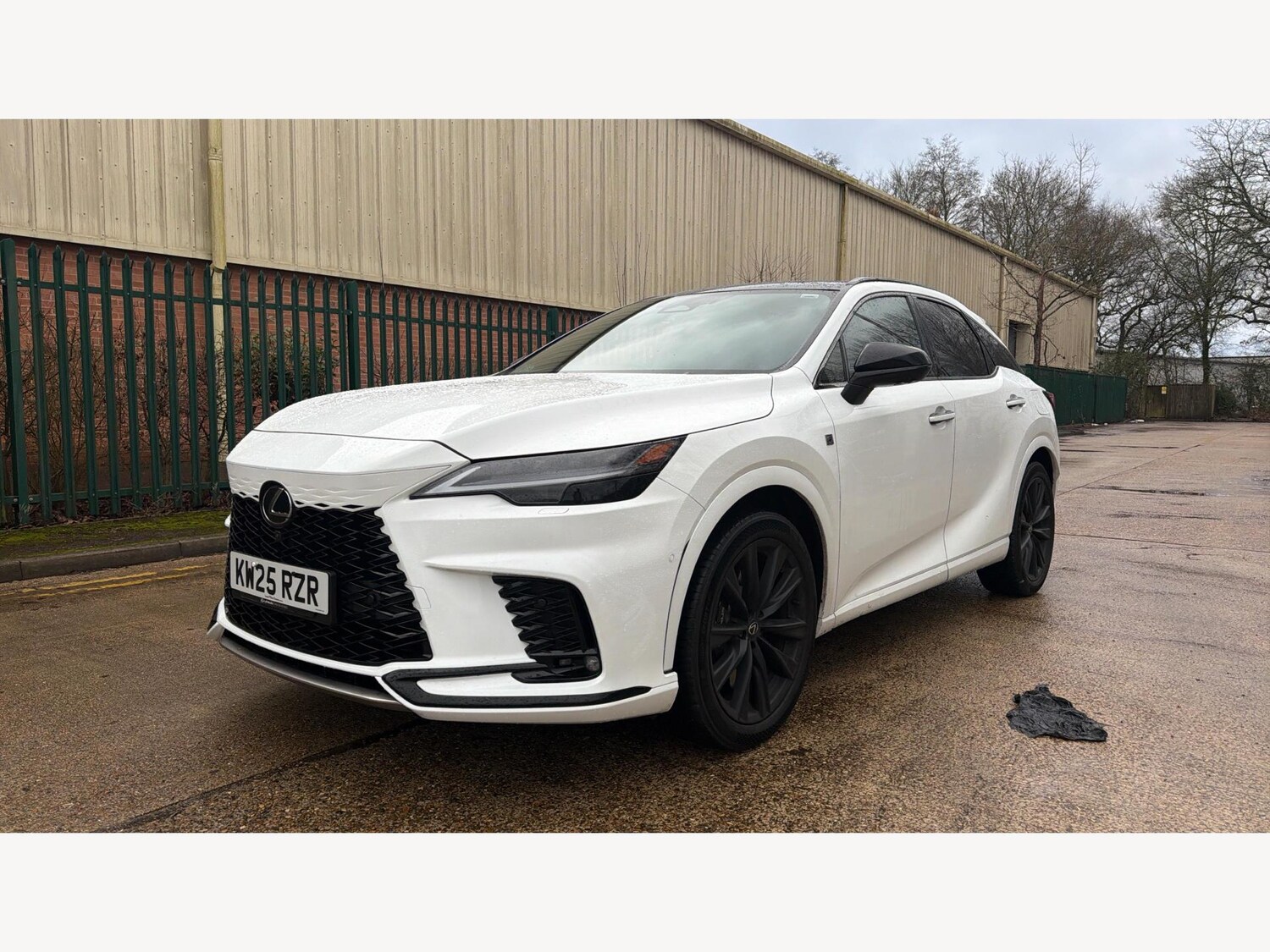 Used Lexus RX 2025 for sale - 77573747: Photo 19