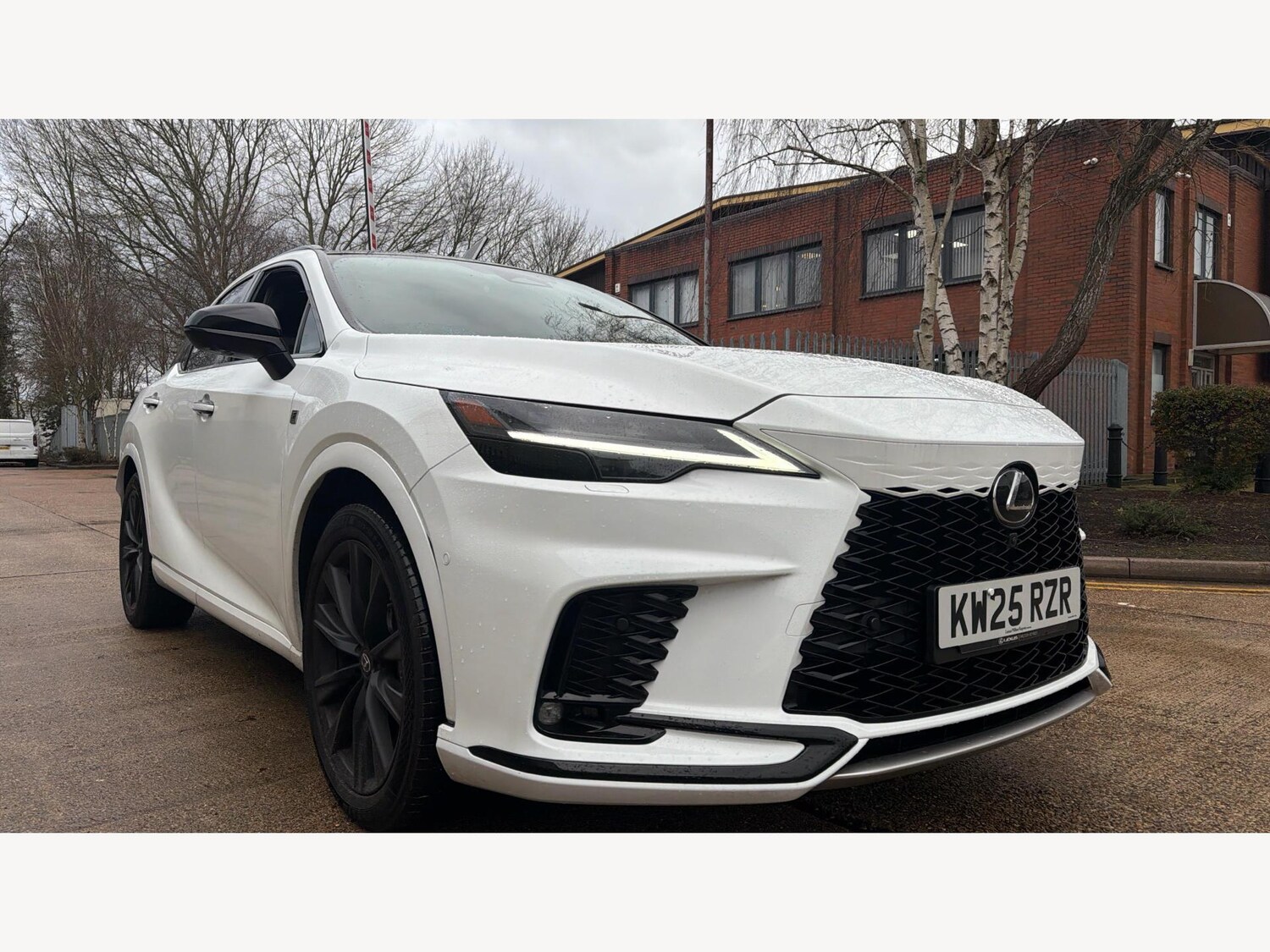 Used Lexus RX 2025 for sale - 77573747: Photo 25