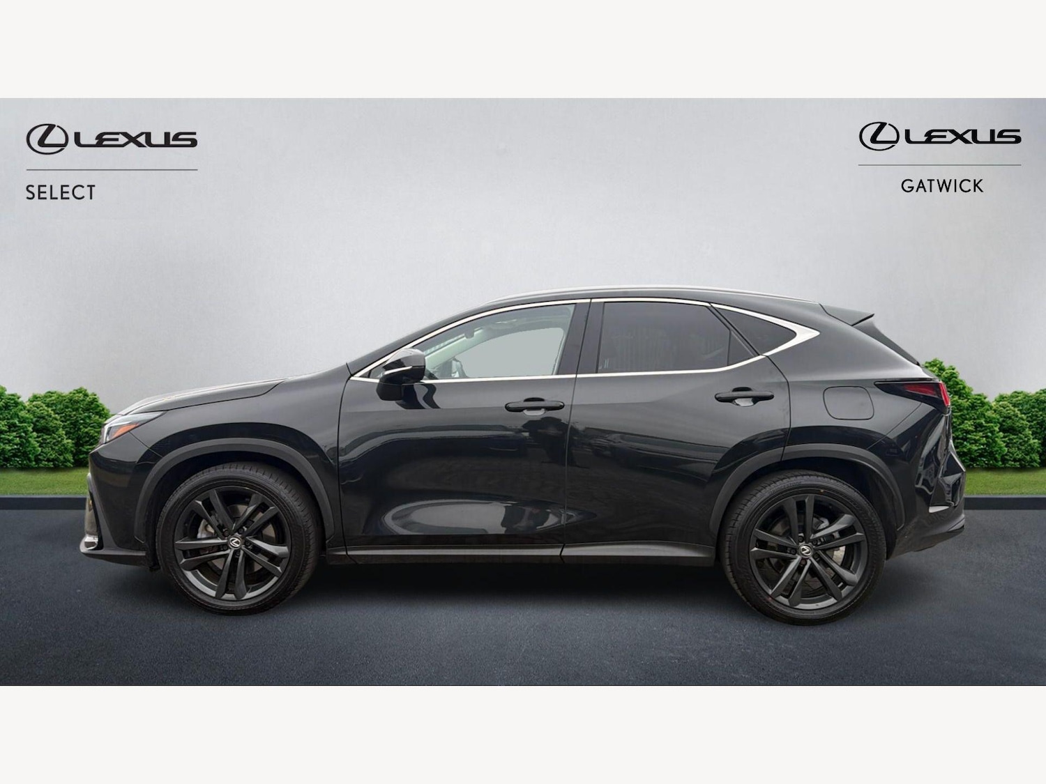 Used Lexus NX 2025 for sale - 77799444: Photo 3