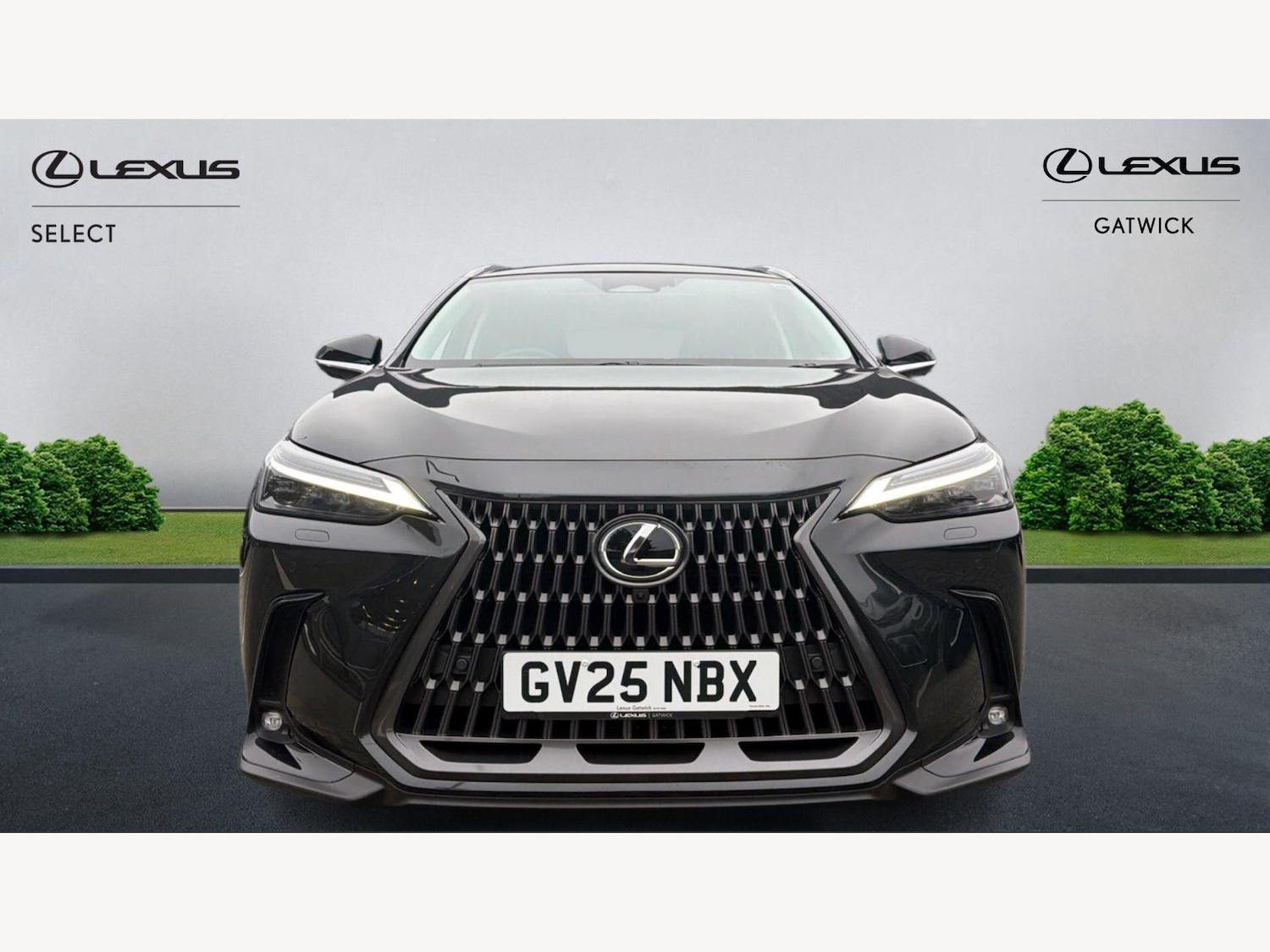 Used Lexus NX 2025 for sale - 77799444: Photo 6