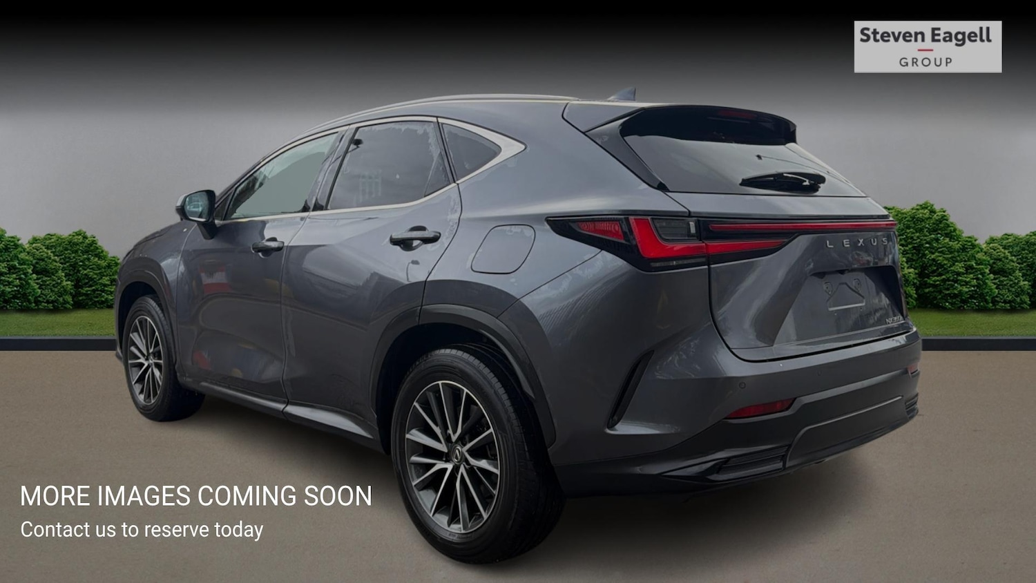 Used Lexus NX for sale - 78156978: Photo 2