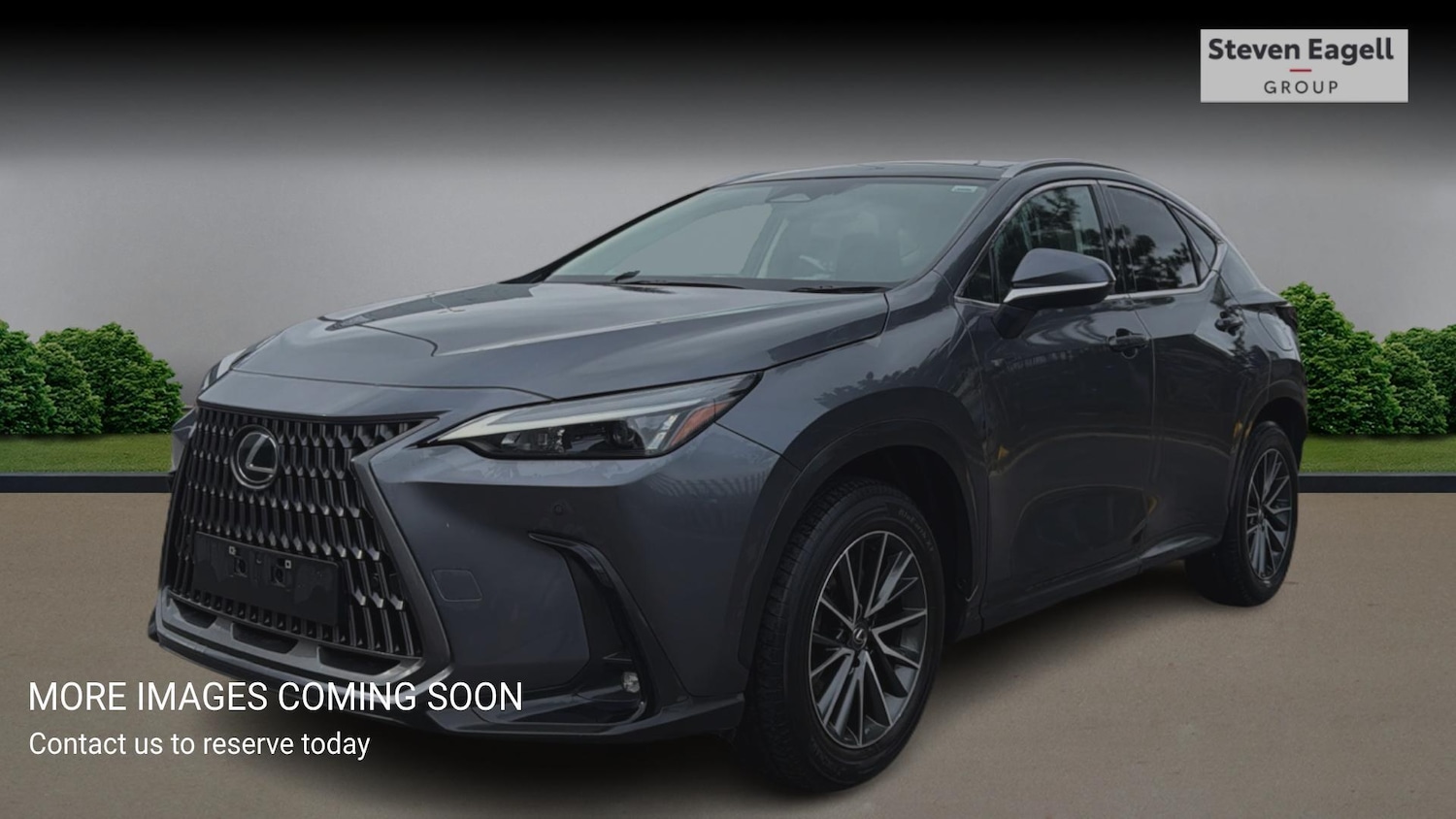 Used Lexus NX for sale - 78156978: Photo 3