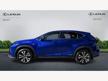 Used Lexus NX 2017 for sale - 76251500: Photo 3