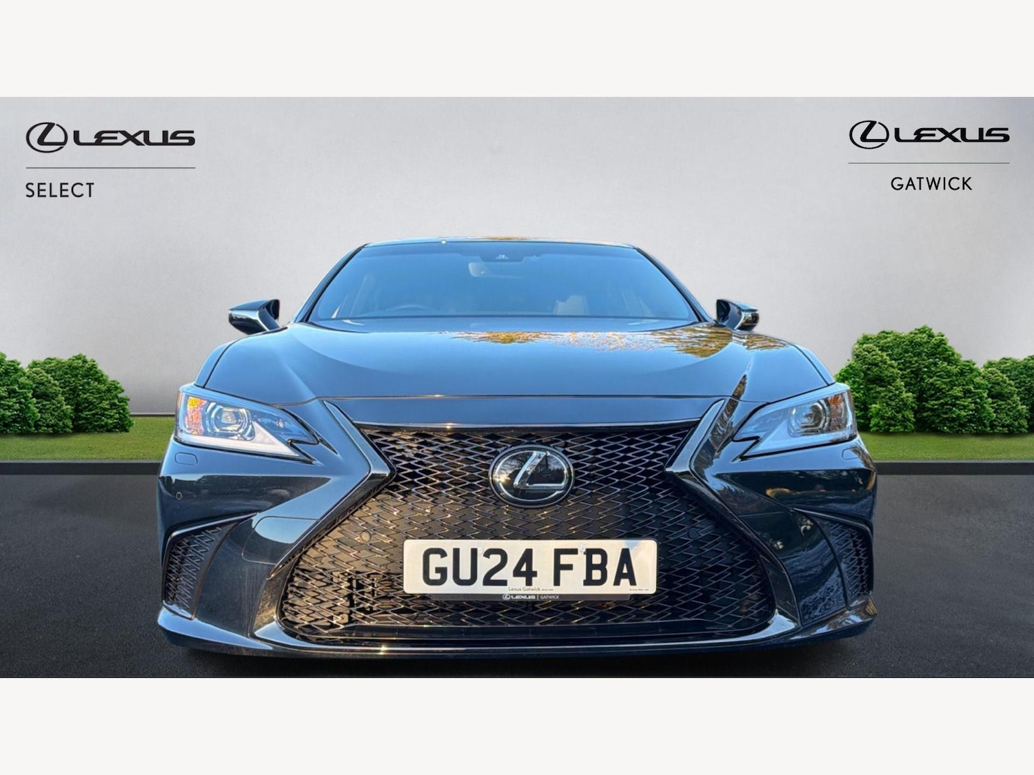 Used Lexus ES 2024 for sale - 77166837: Photo 6