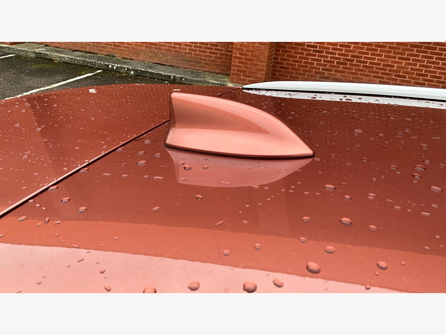 Used Lexus RX 2023 for sale - 77560041: Photo 27