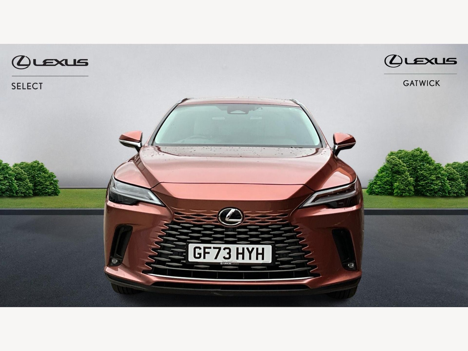 Used Lexus RX 2023 for sale - 77560041: Photo 6