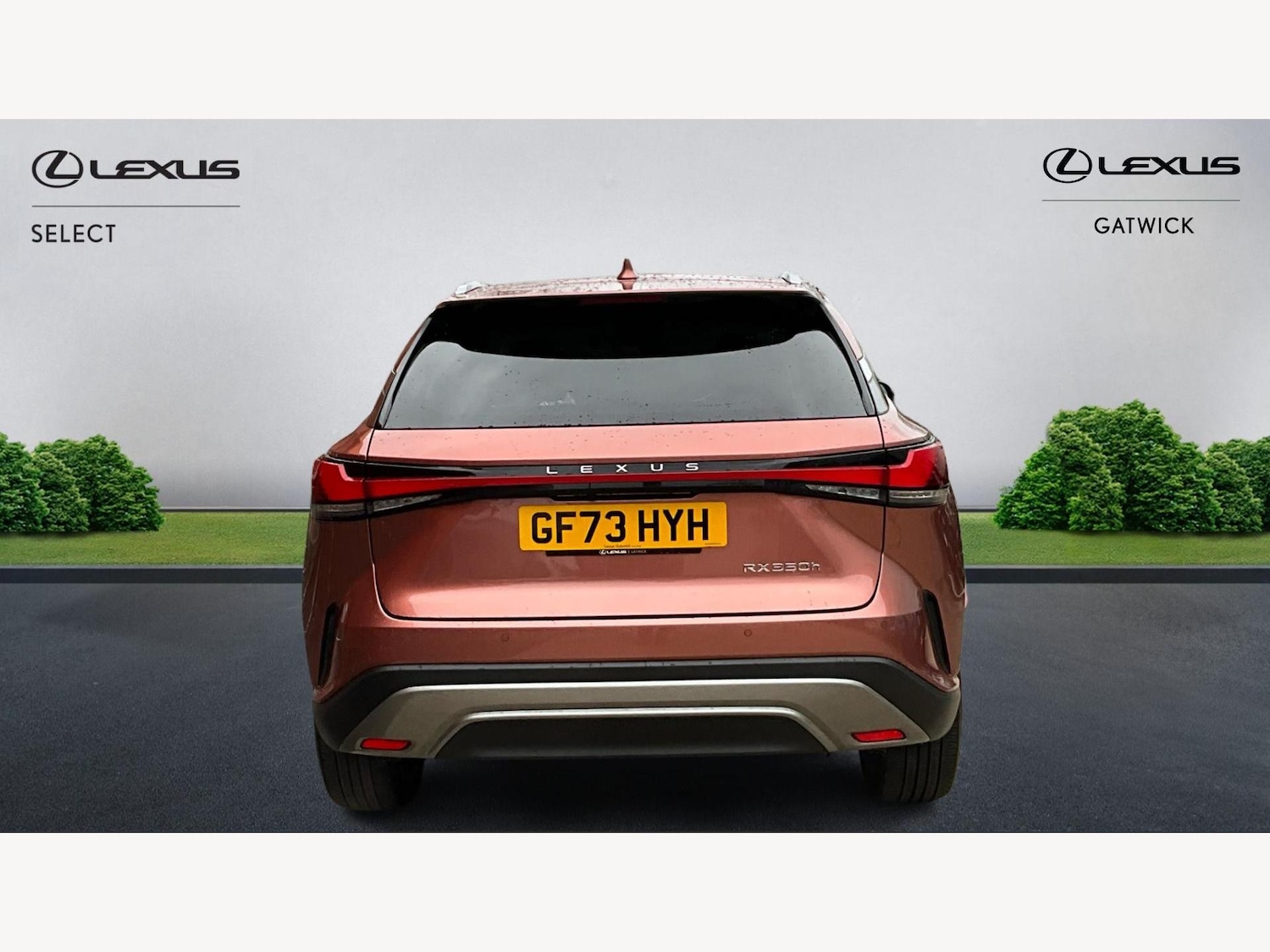 Used Lexus RX 2023 for sale - 77560041: Photo 7