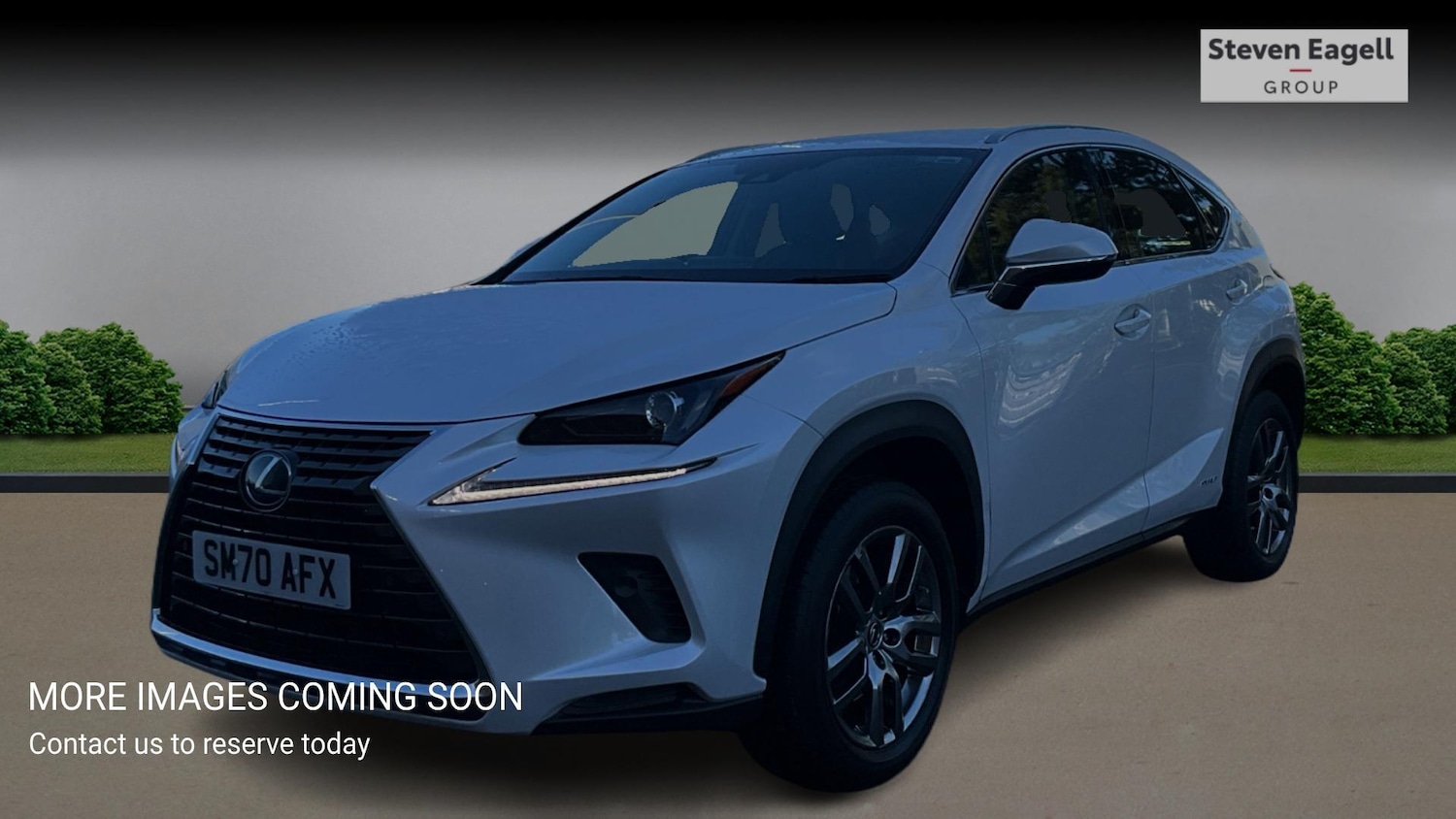 Used Lexus NX for sale - 77191986: Photo 3