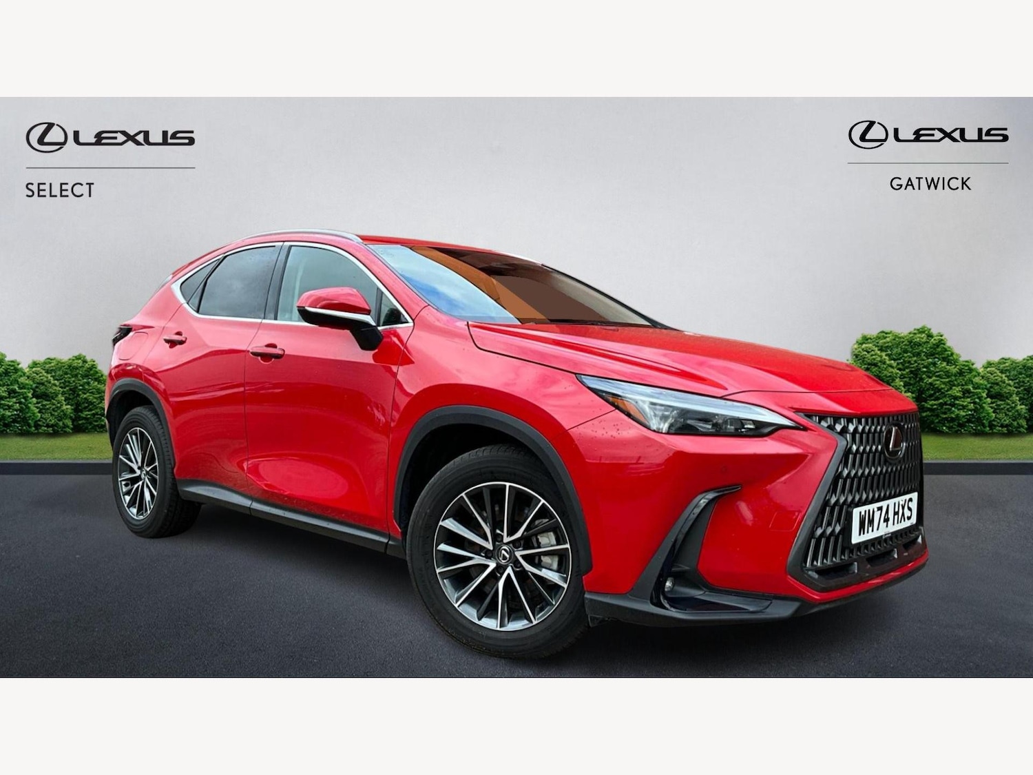 Used Lexus NX 2024 for sale - 77166865: Photo 1