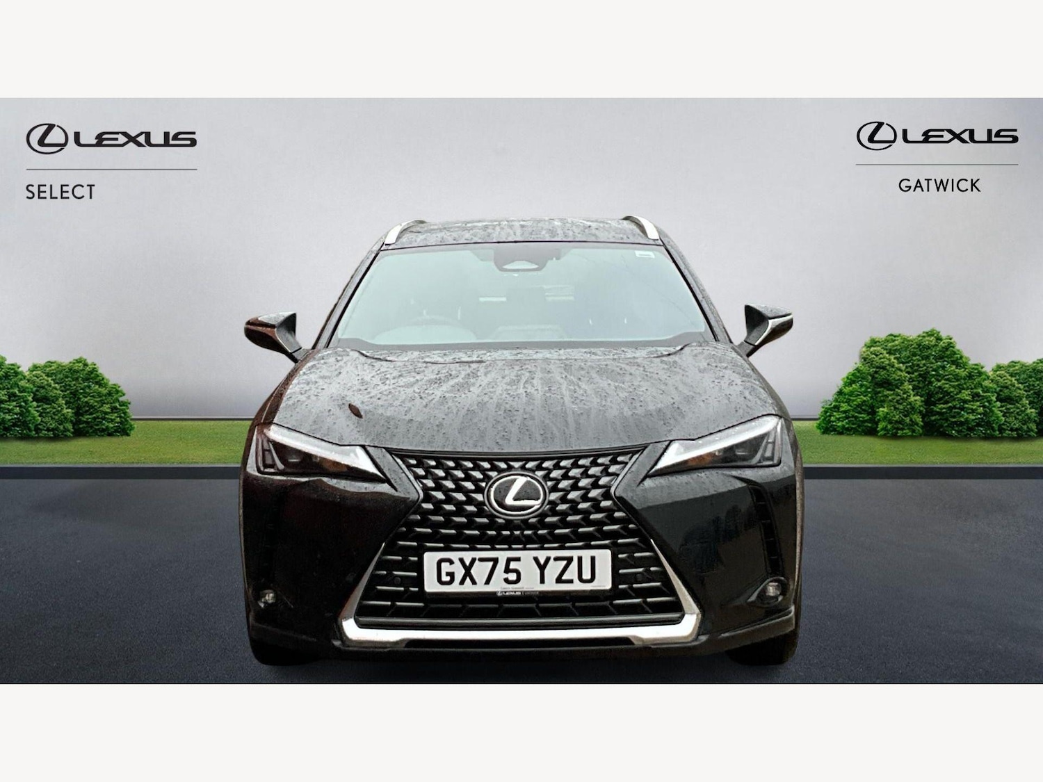 Used Lexus UX 2025 for sale - 77709618: Photo 6