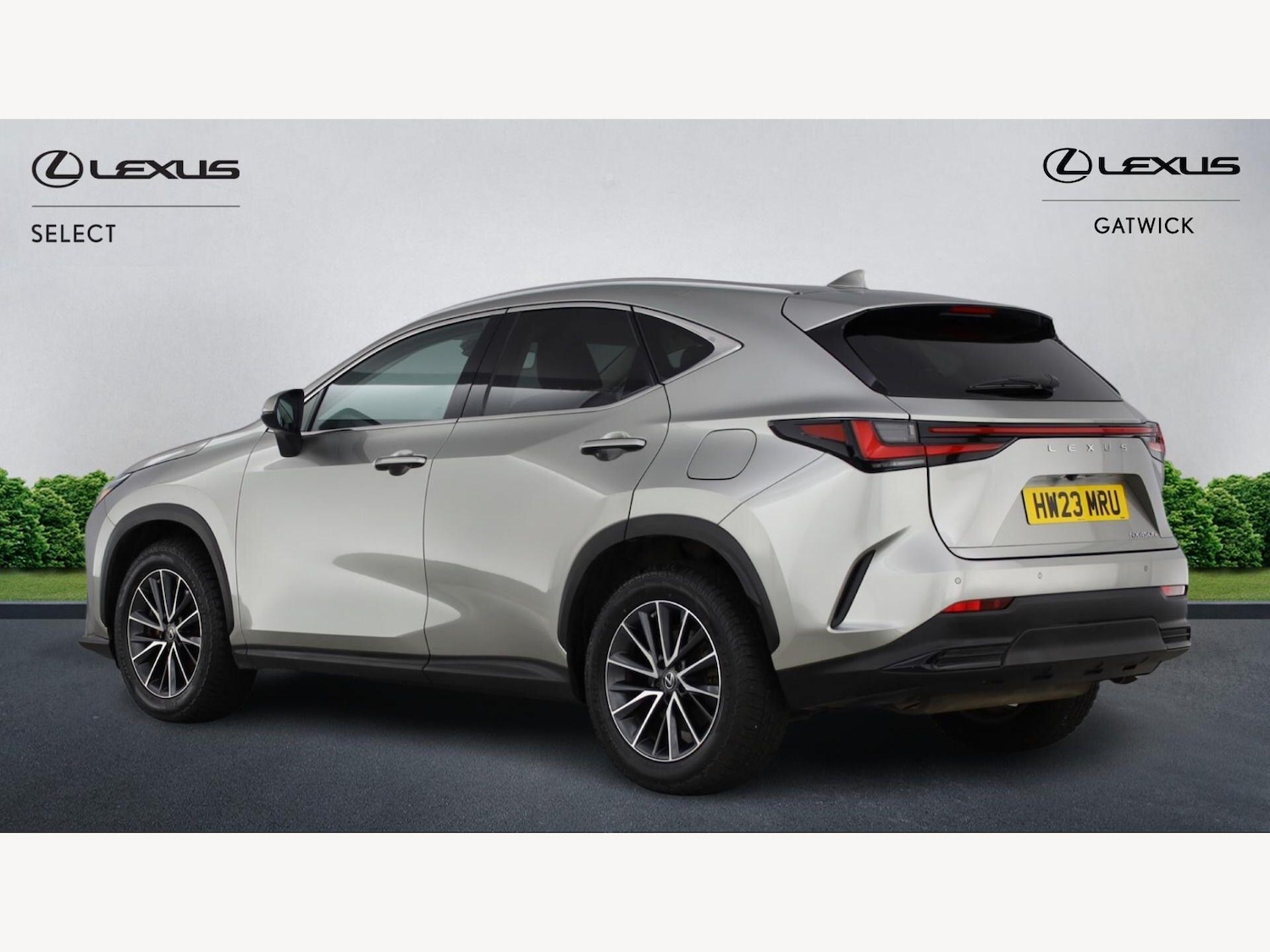 Used Lexus NX for sale - 77853493: Photo 2