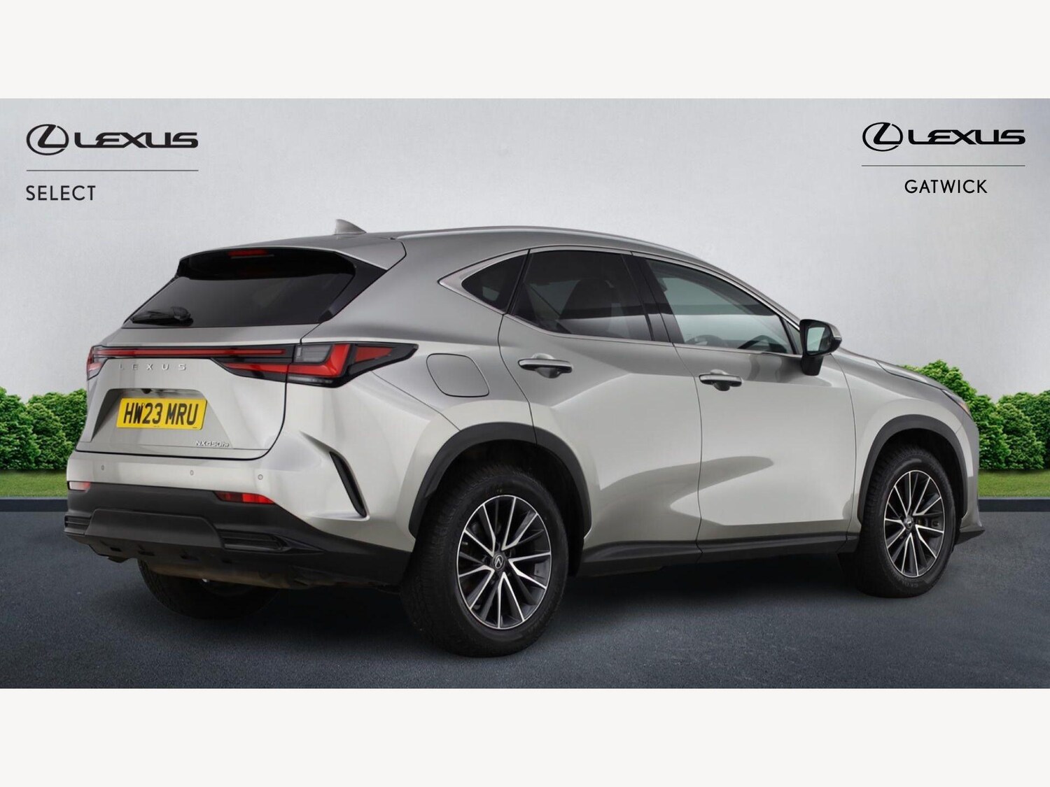 Used Lexus NX for sale - 77853493: Photo 20