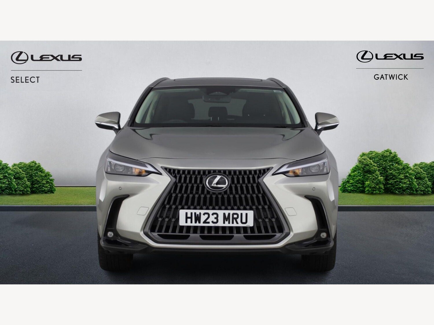 Used Lexus NX for sale - 77853493: Photo 6