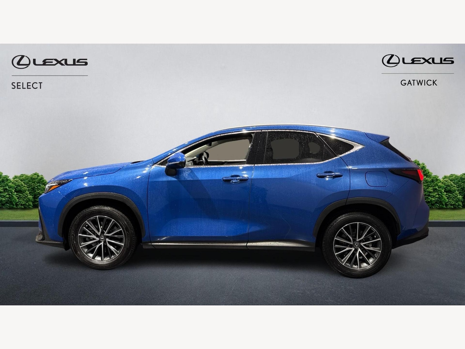 Used Lexus NX 2023 for sale - 77203801: Photo 3