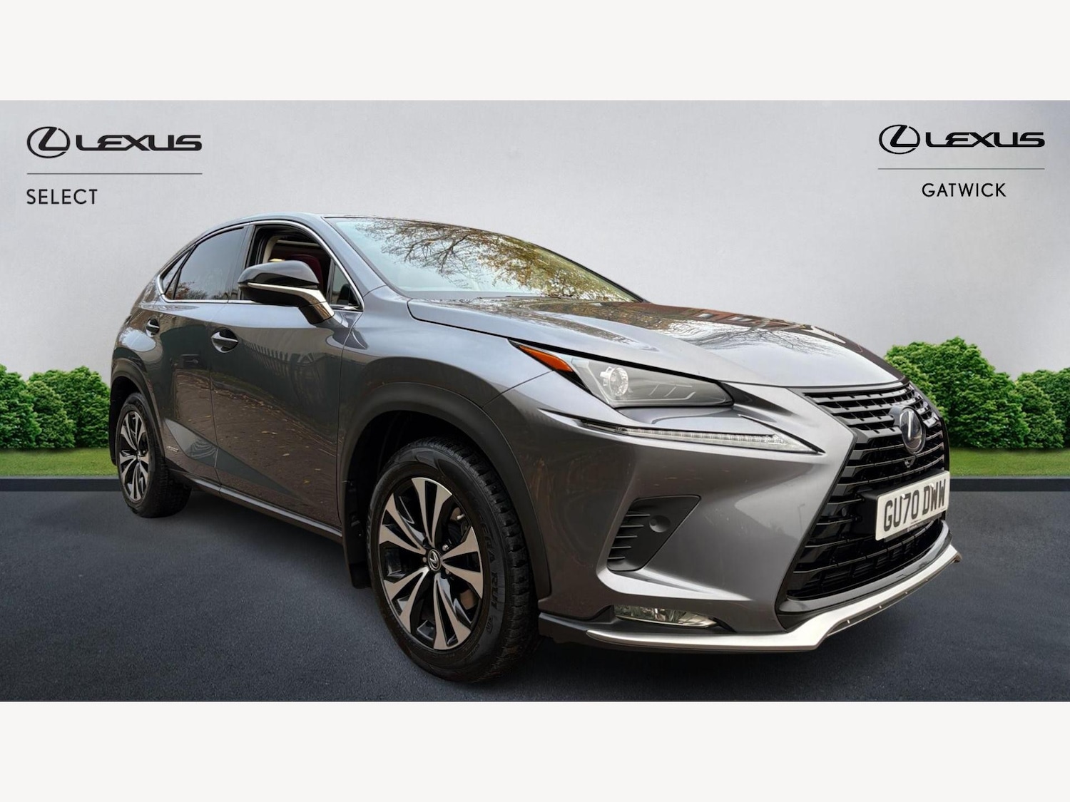Used Lexus NX 2020 for sale - 76865917: Photo 1