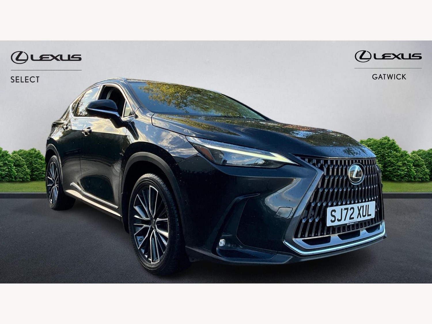 Used Lexus NX 2022 for sale - 76715500: Photo 1