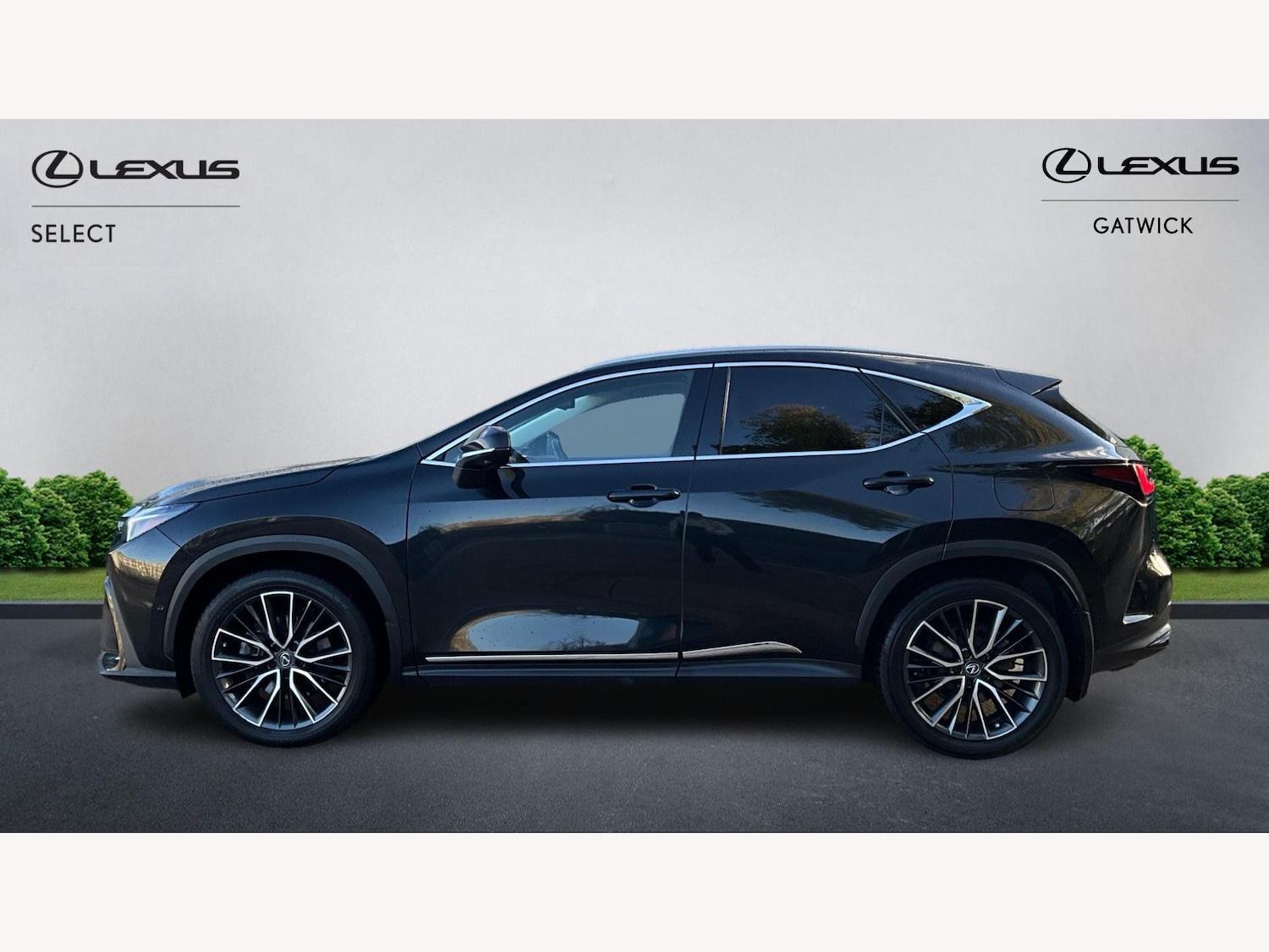 Used Lexus NX 2022 for sale - 76715500: Photo 3