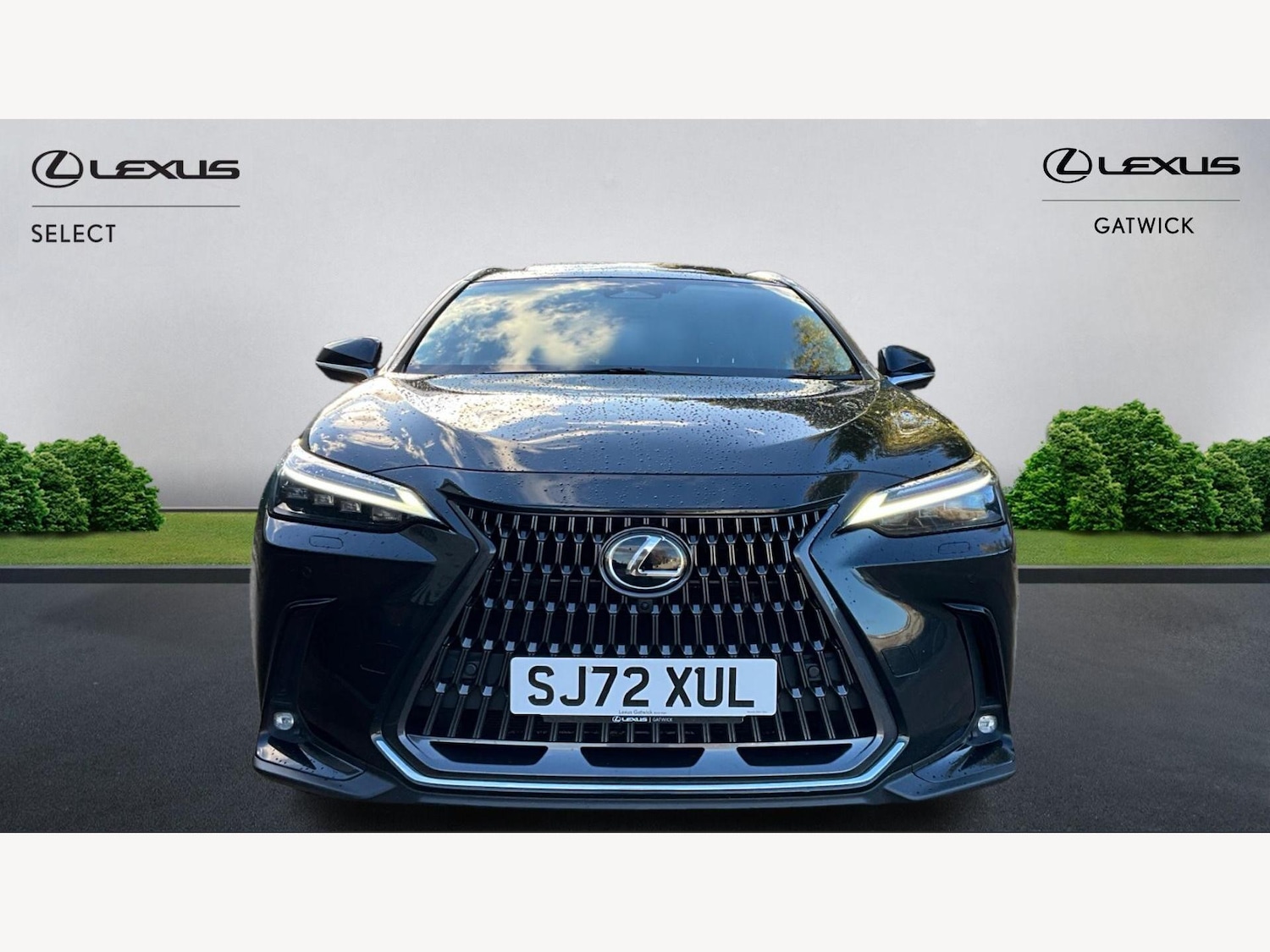 Used Lexus NX 2022 for sale - 76715500: Photo 6