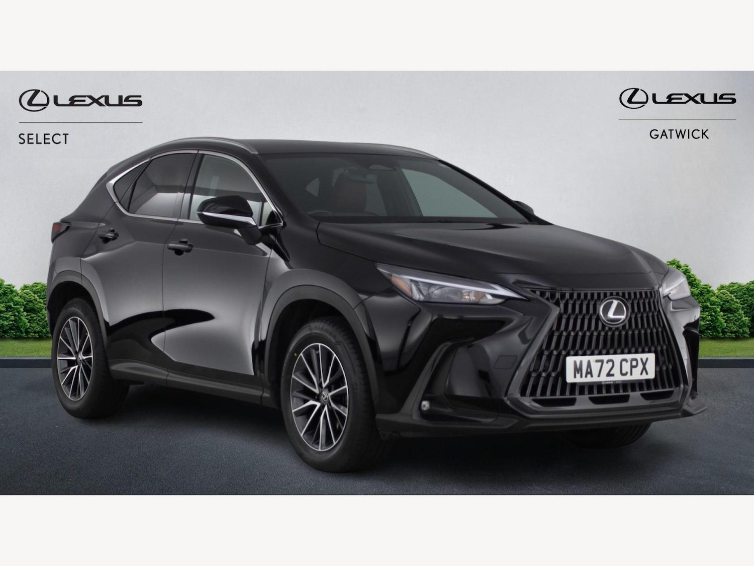 Used Lexus NX for sale - 77411646: Photo 1
