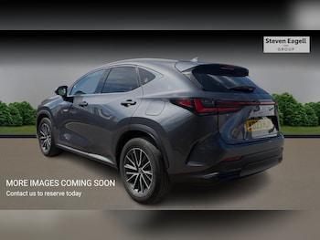 Used Lexus NX 2023 for sale - 78535954: Photo