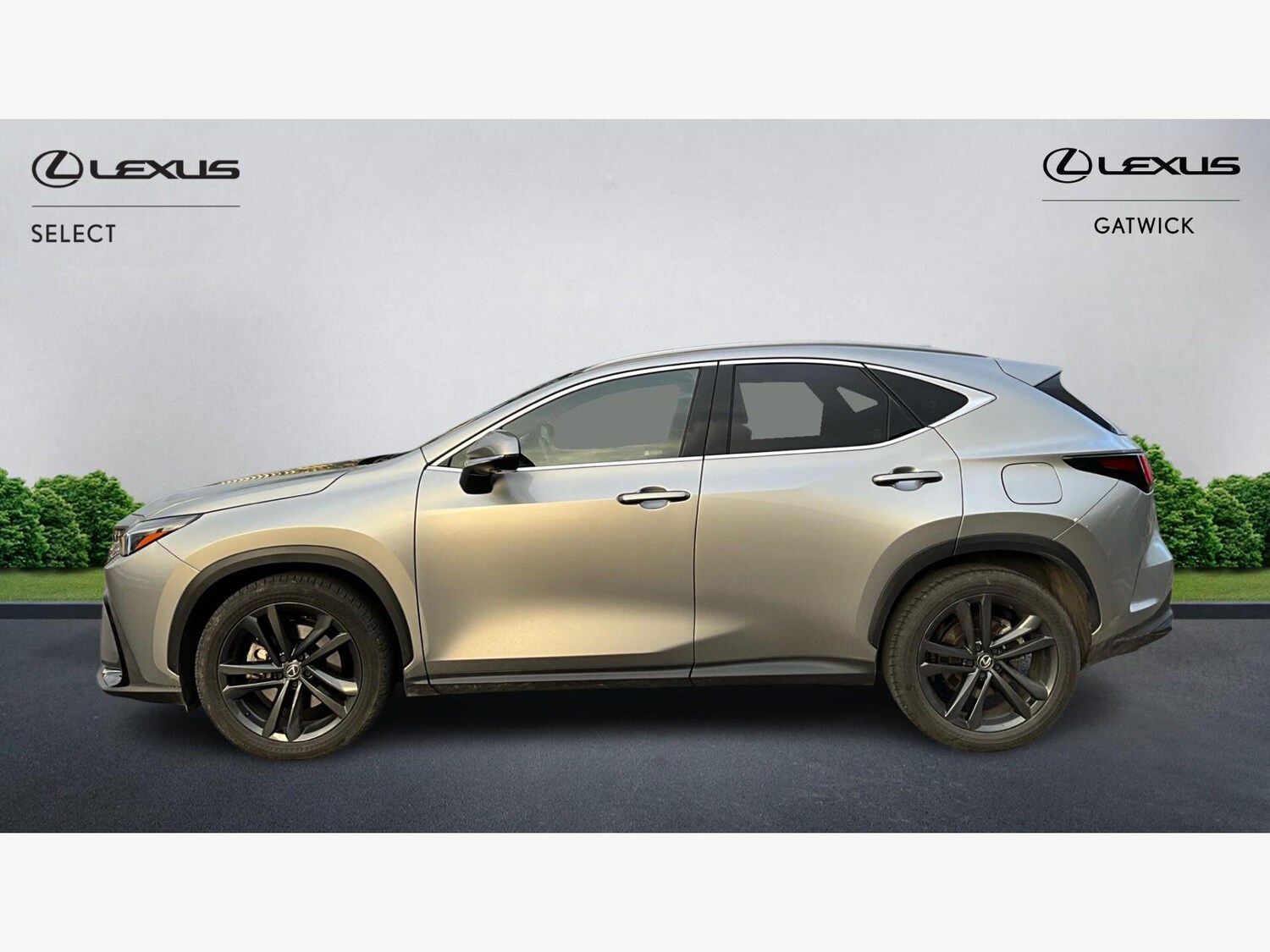 Used Lexus NX 2023 for sale - 77839565: Photo 3