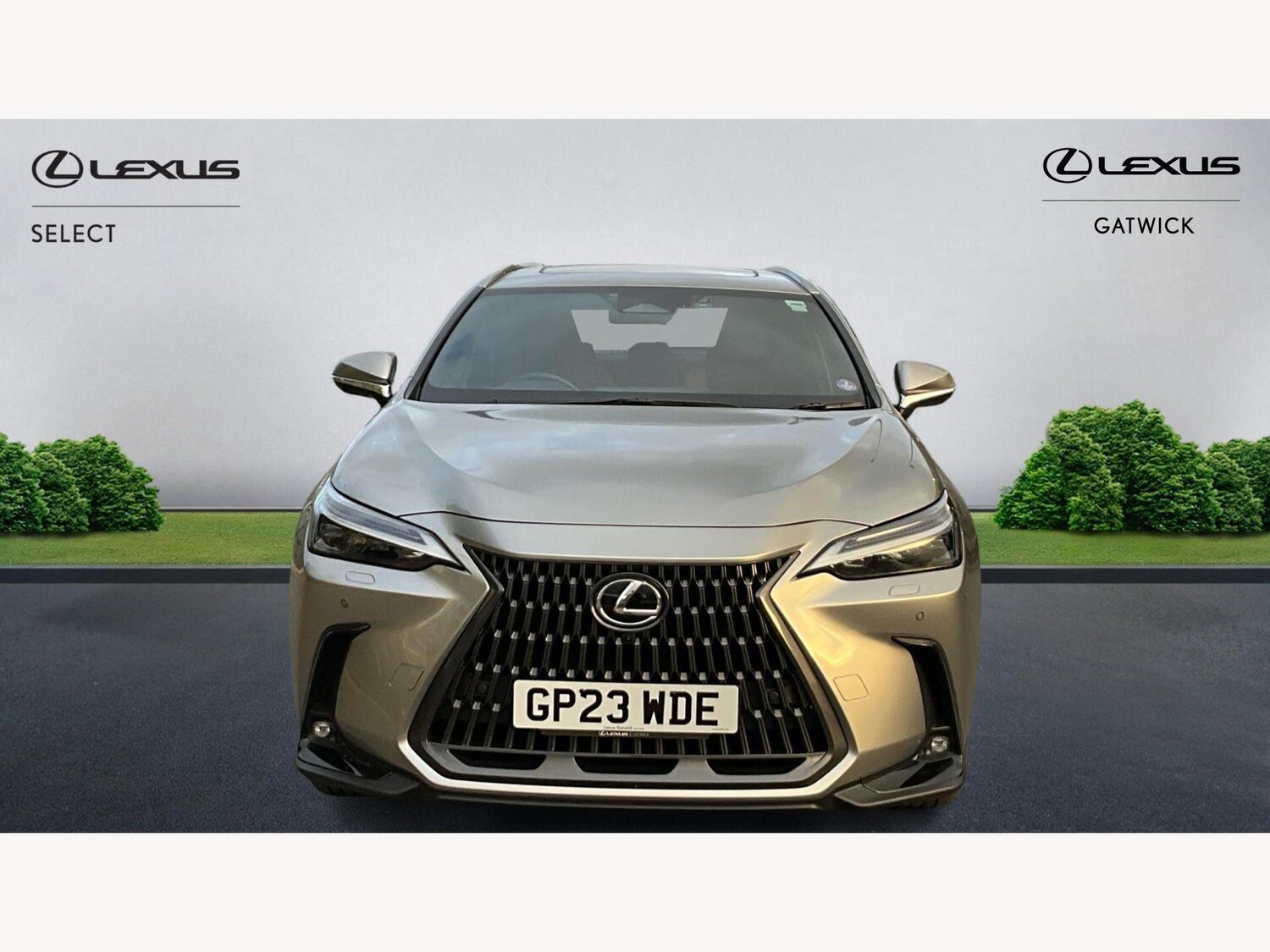 Used Lexus NX 2023 for sale - 77839565: Photo 6