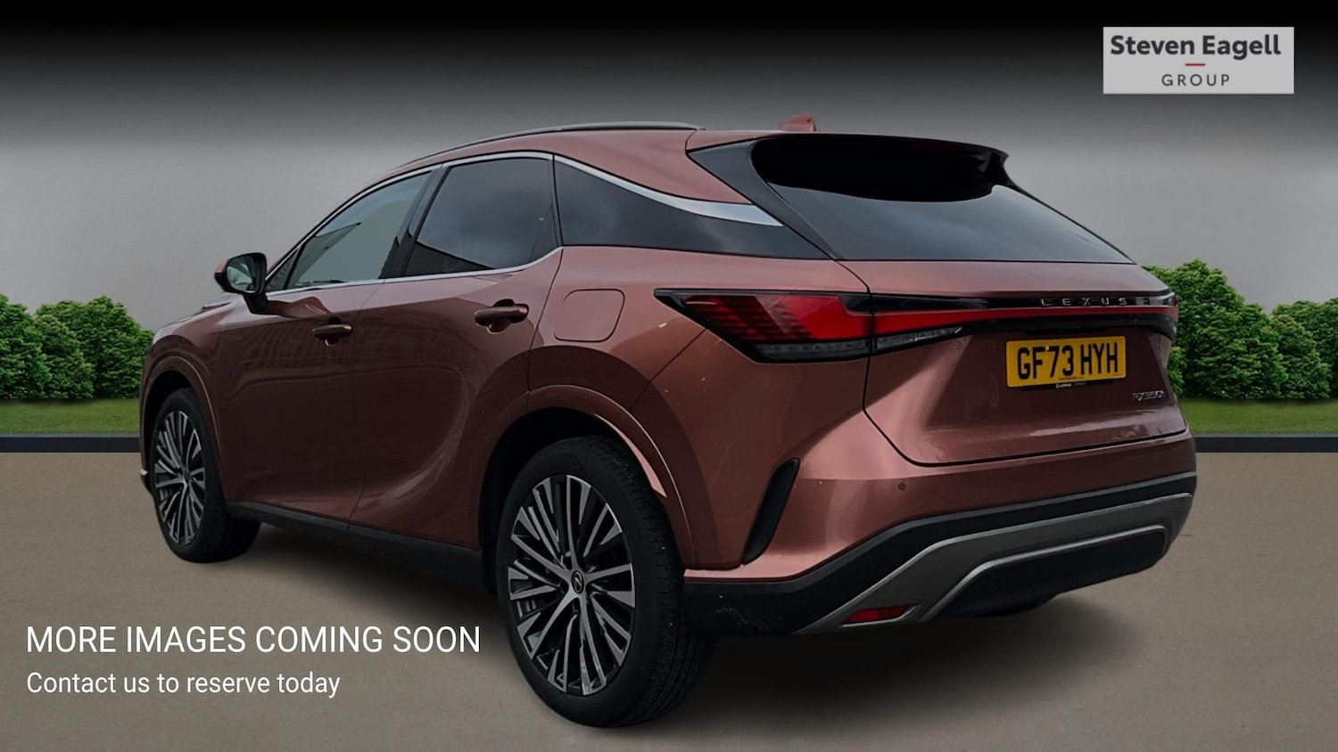 Used Lexus RX 2023 for sale - 77315119: Photo 2