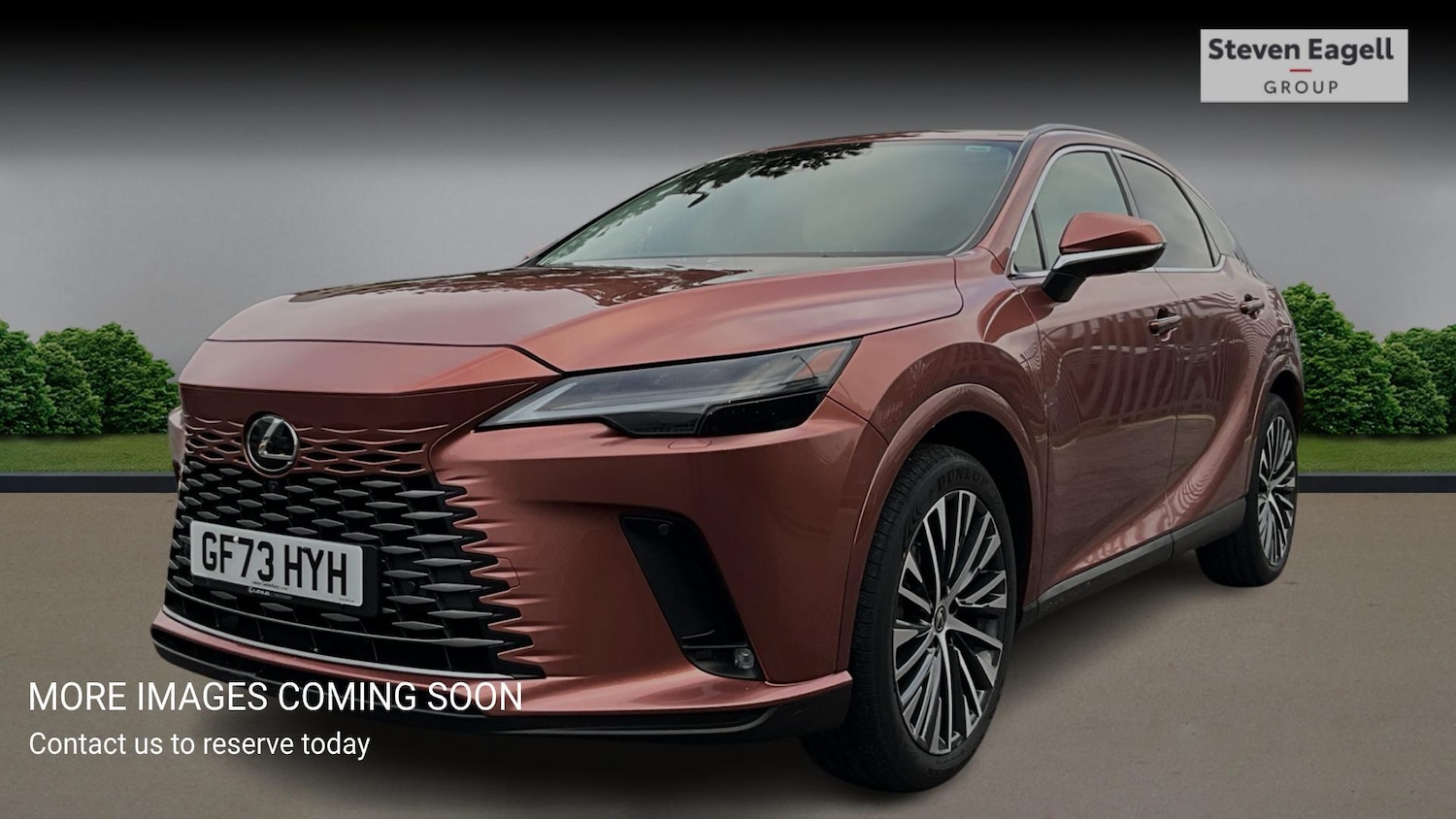 Used Lexus RX 2023 for sale - 77315119: Photo 3