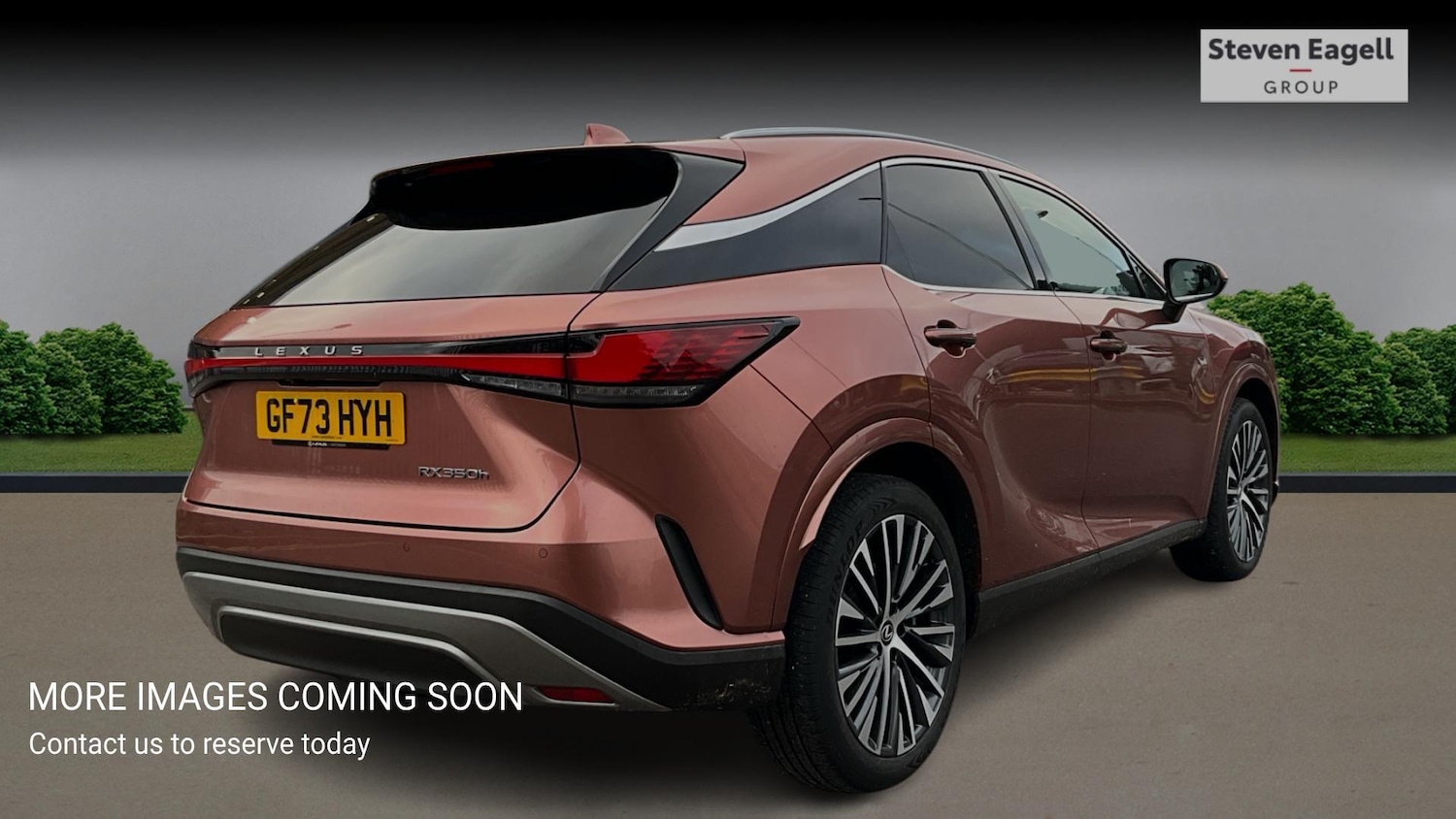 Used Lexus RX 2023 for sale - 77315119: Photo 4