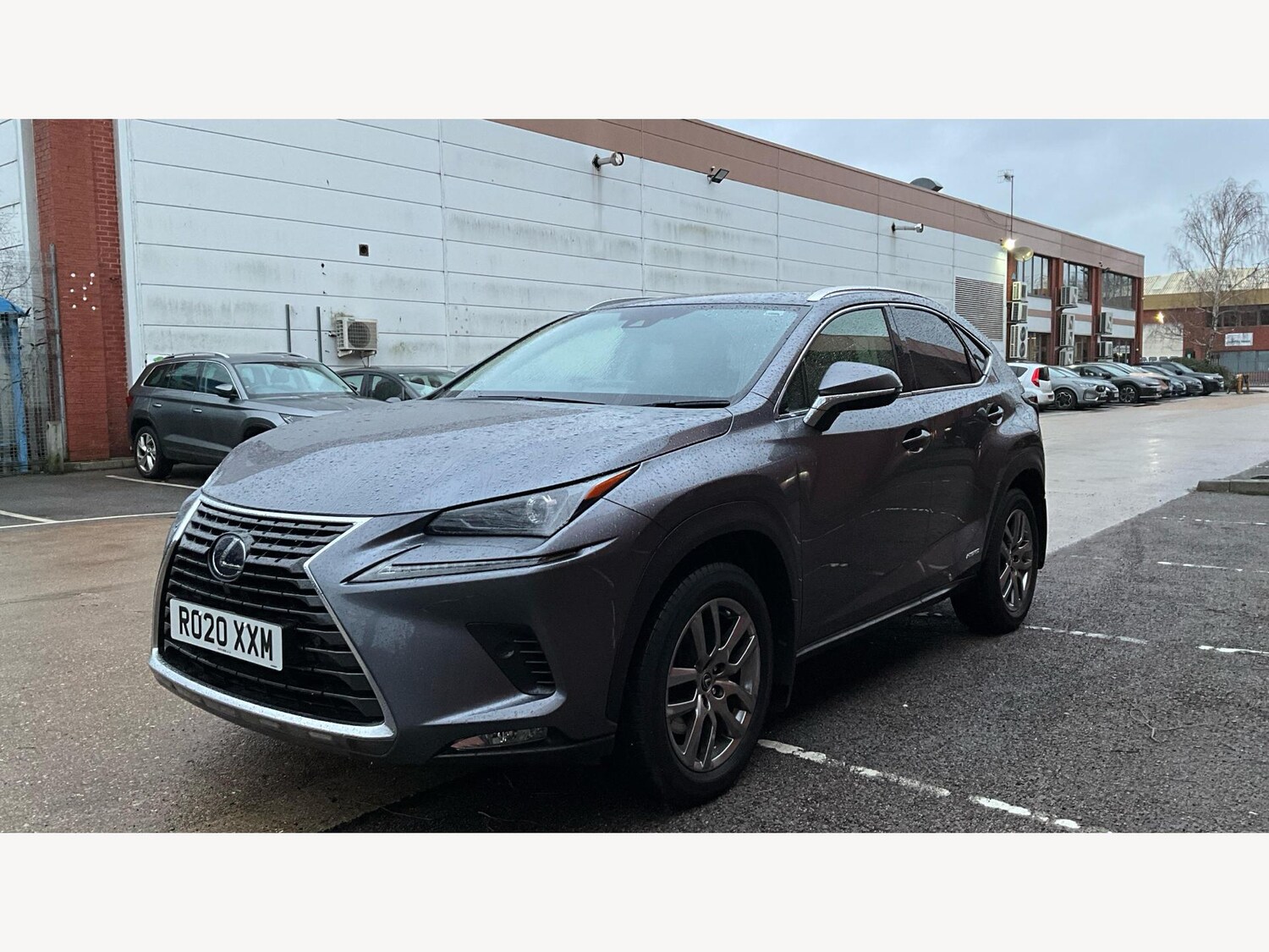 Used Lexus NX for sale - 77395712: Photo 19