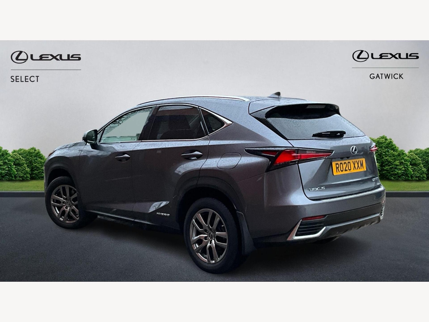 Used Lexus NX for sale - 77395712: Photo 2