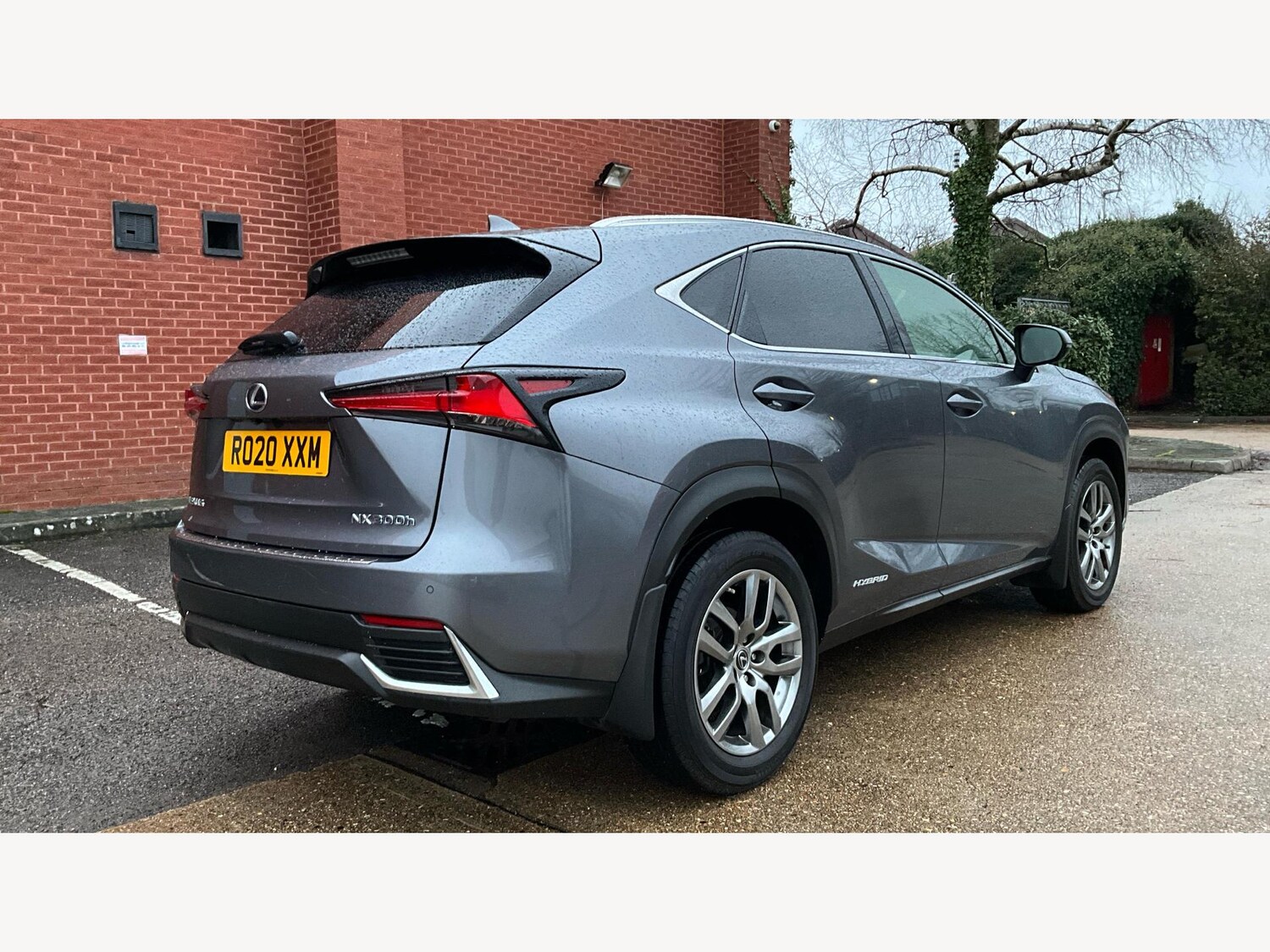 Used Lexus NX for sale - 77395712: Photo 20