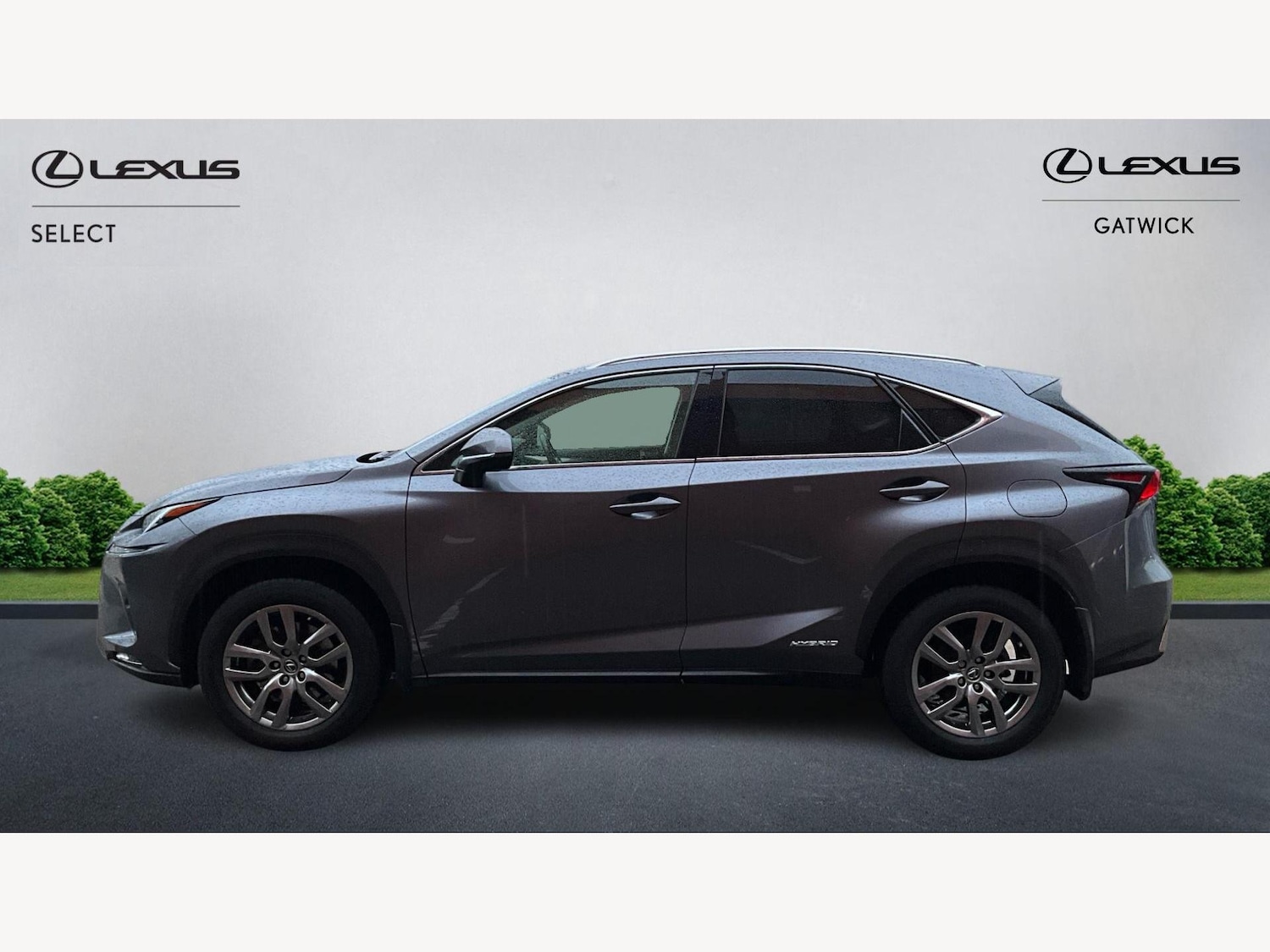Used Lexus NX for sale - 77395712: Photo 3
