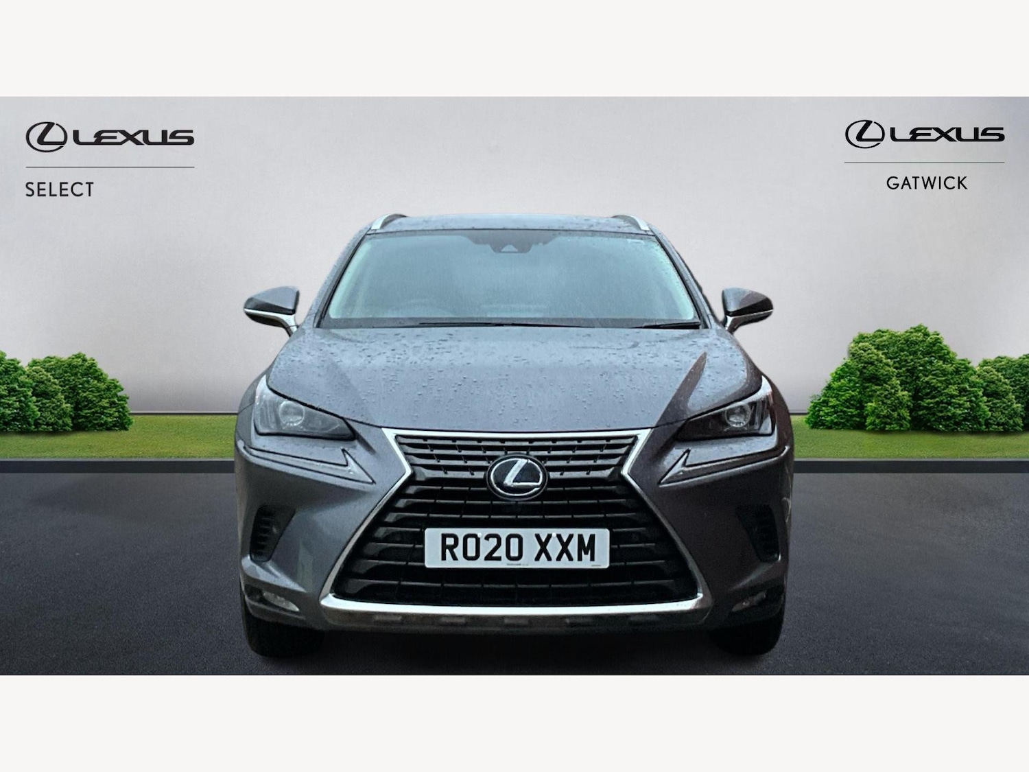 Used Lexus NX for sale - 77395712: Photo 6