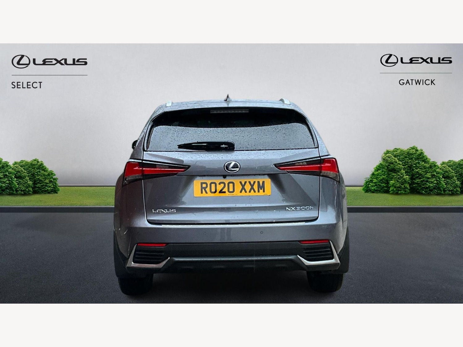 Used Lexus NX for sale - 77395712: Photo 7