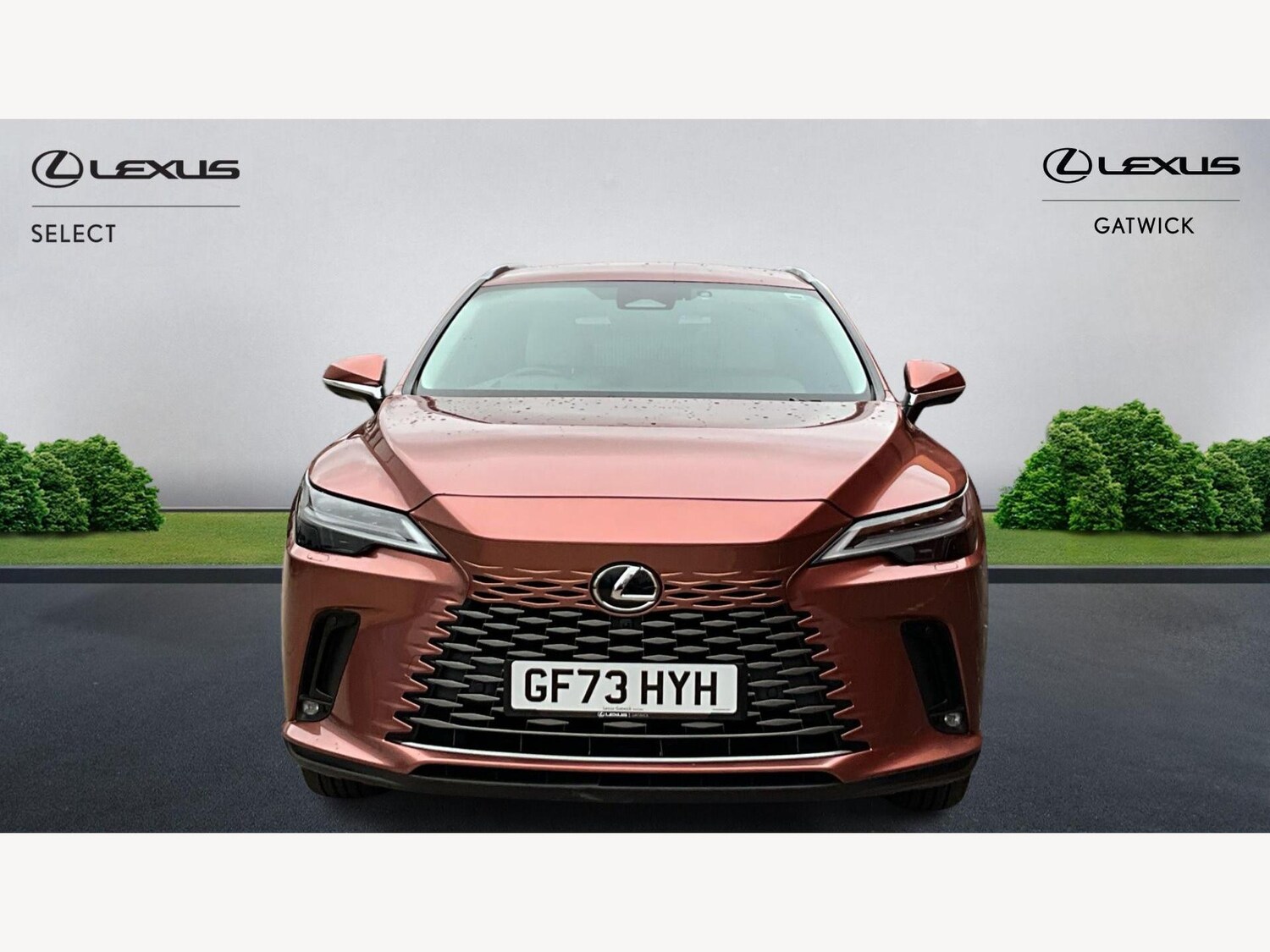 Used Lexus RX 2023 for sale - 77440267: Photo 6