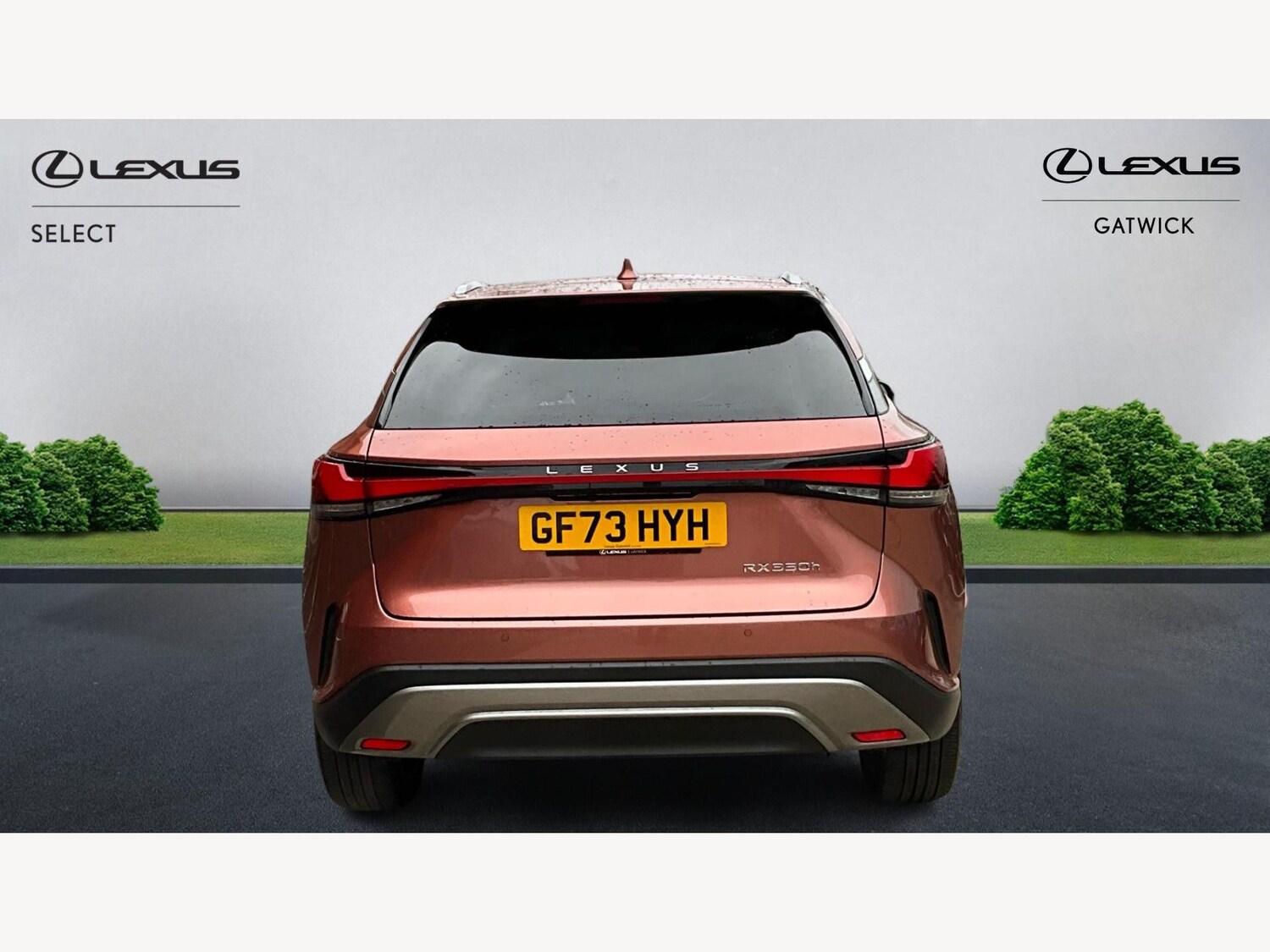 Used Lexus RX 2023 for sale - 77440267: Photo 7