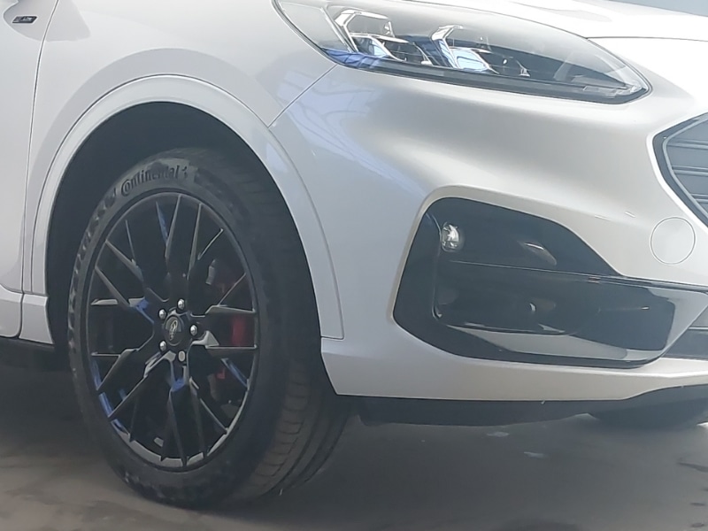 Used Ford Kuga 2023 for sale - 76788788: Photo 9