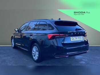 Used Skoda Octavia 2025 for sale - 77833131: Photo