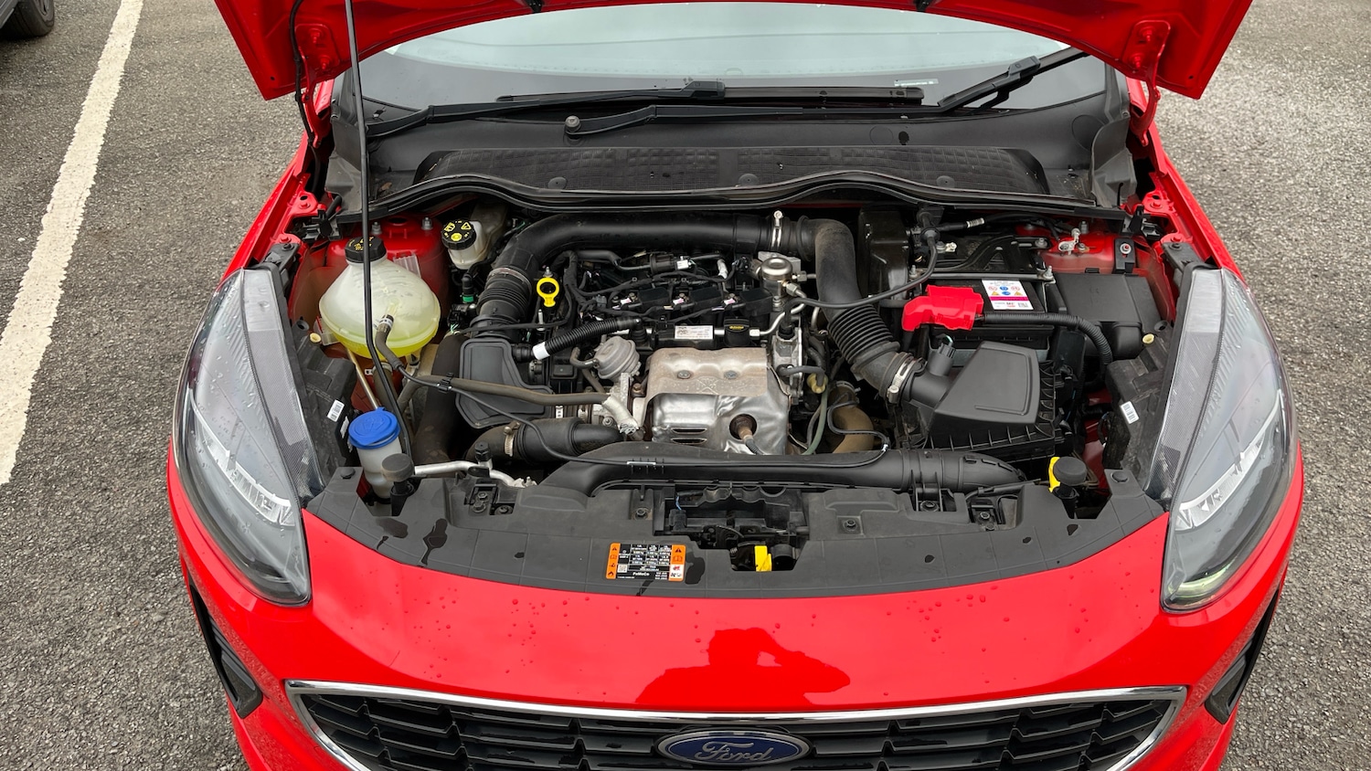 Used Ford Fiesta 2023 for sale - 77779068: Photo 8