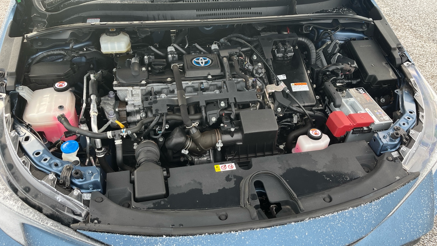 Used Toyota Corolla 2021 for sale - 76948856: Photo 8