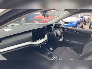 Used Skoda Octavia 2025 for sale - 79264254: Photo