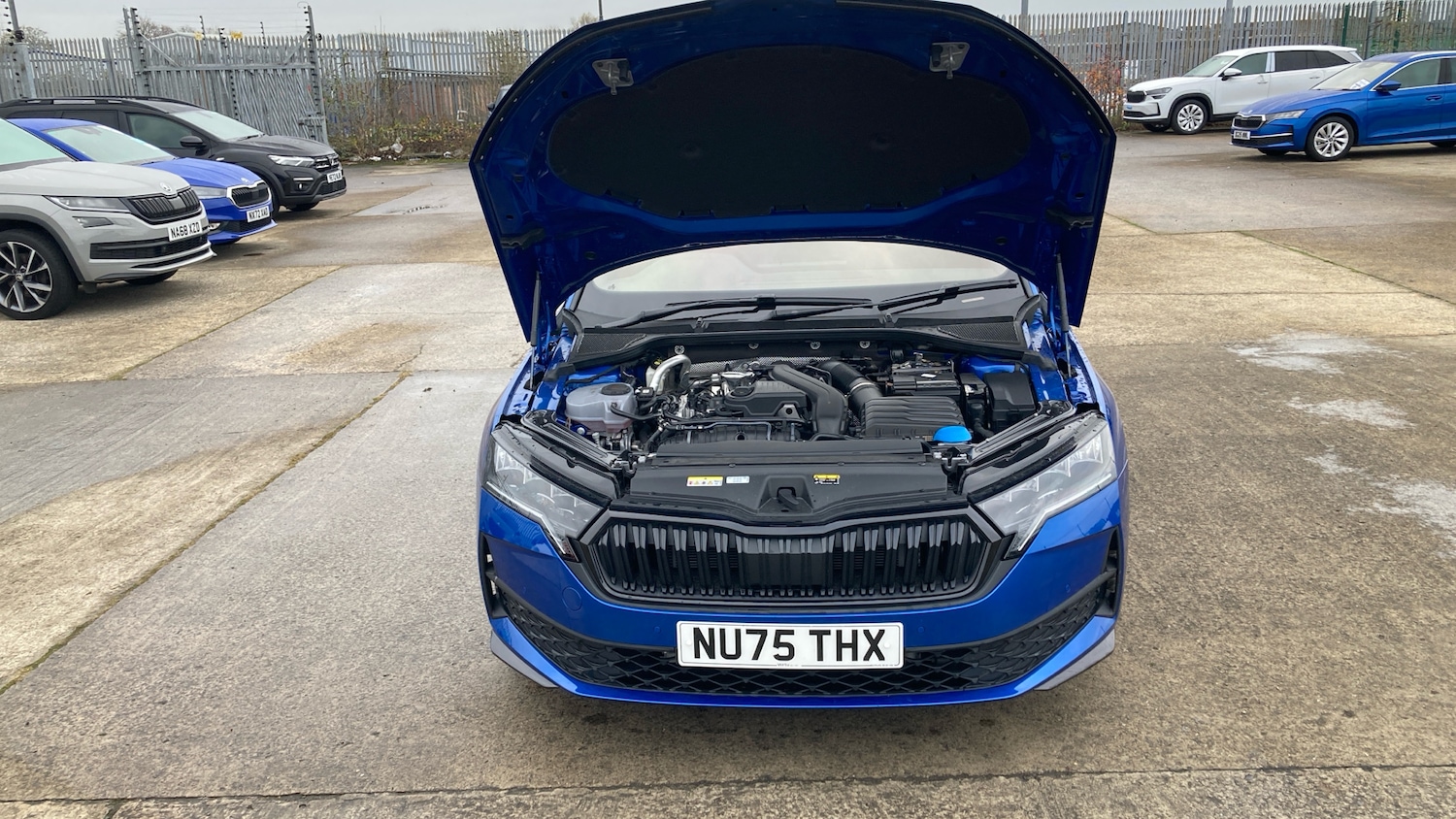 Used Skoda Octavia 2025 for sale - 76791297: Photo 44