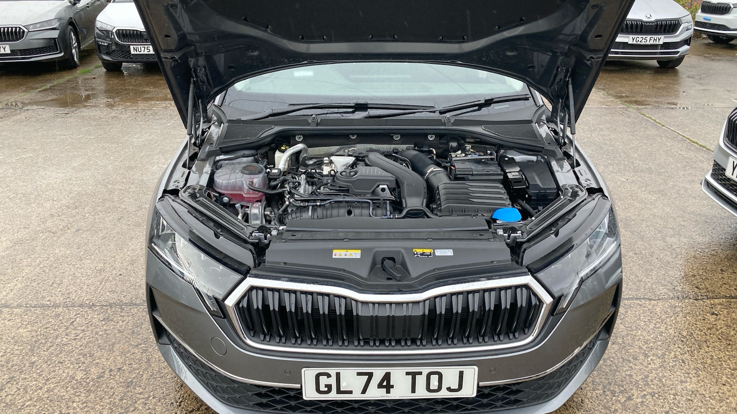 Used Skoda Octavia 2024 for sale - 76450278: Photo 37