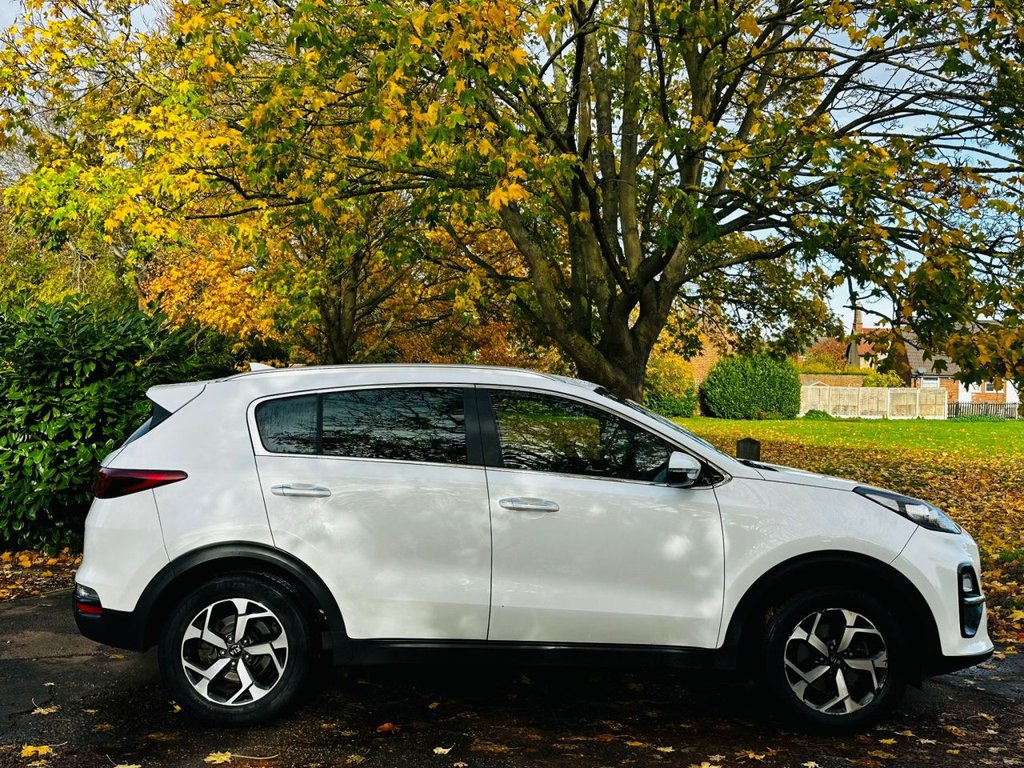 Used Kia Sportage 2019 for sale - 76280259: Photo 5