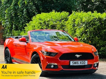 Used Ford Mustang 2016 for sale - 79266003: Photo