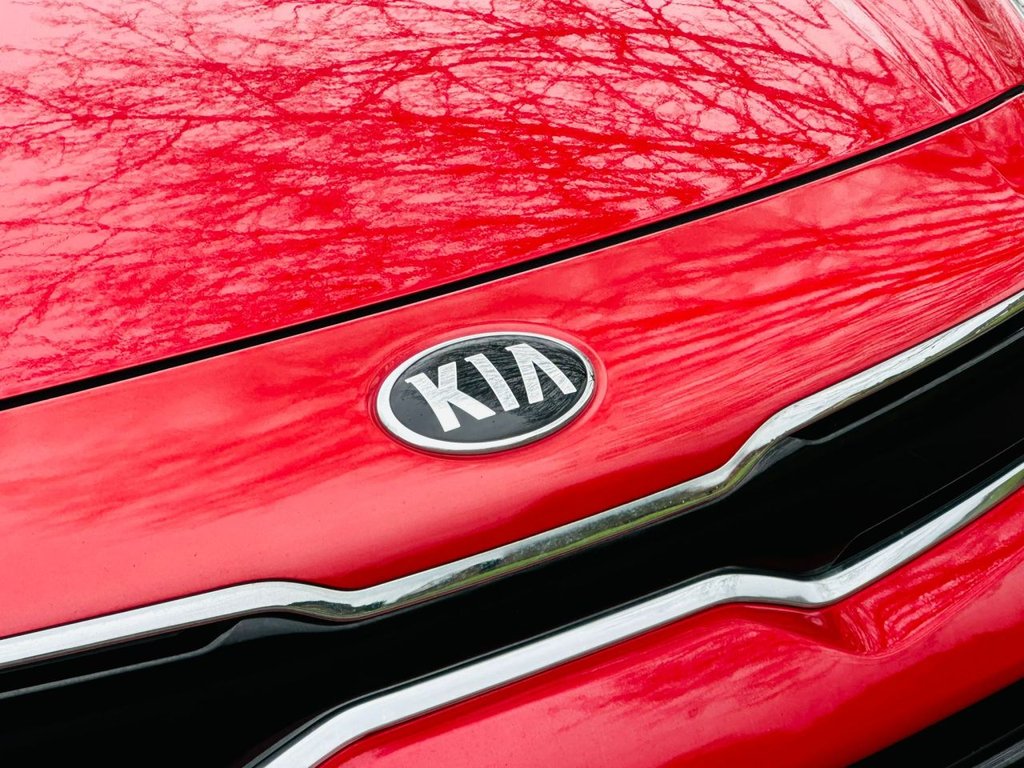 Used Kia Rio 2017 for sale - 76698902: Photo 12