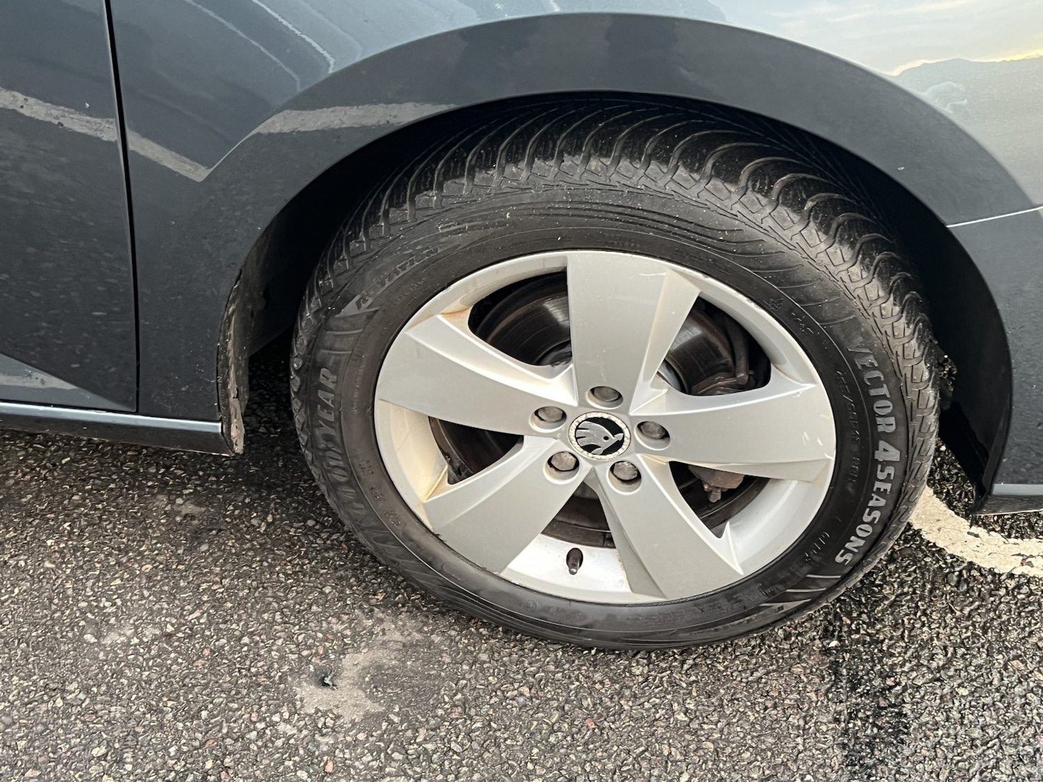 Used Skoda Fabia 2016 for sale - 77008098: Photo 19