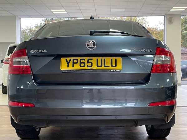 Used Skoda Octavia 2015 for sale - 76256099: Photo 11